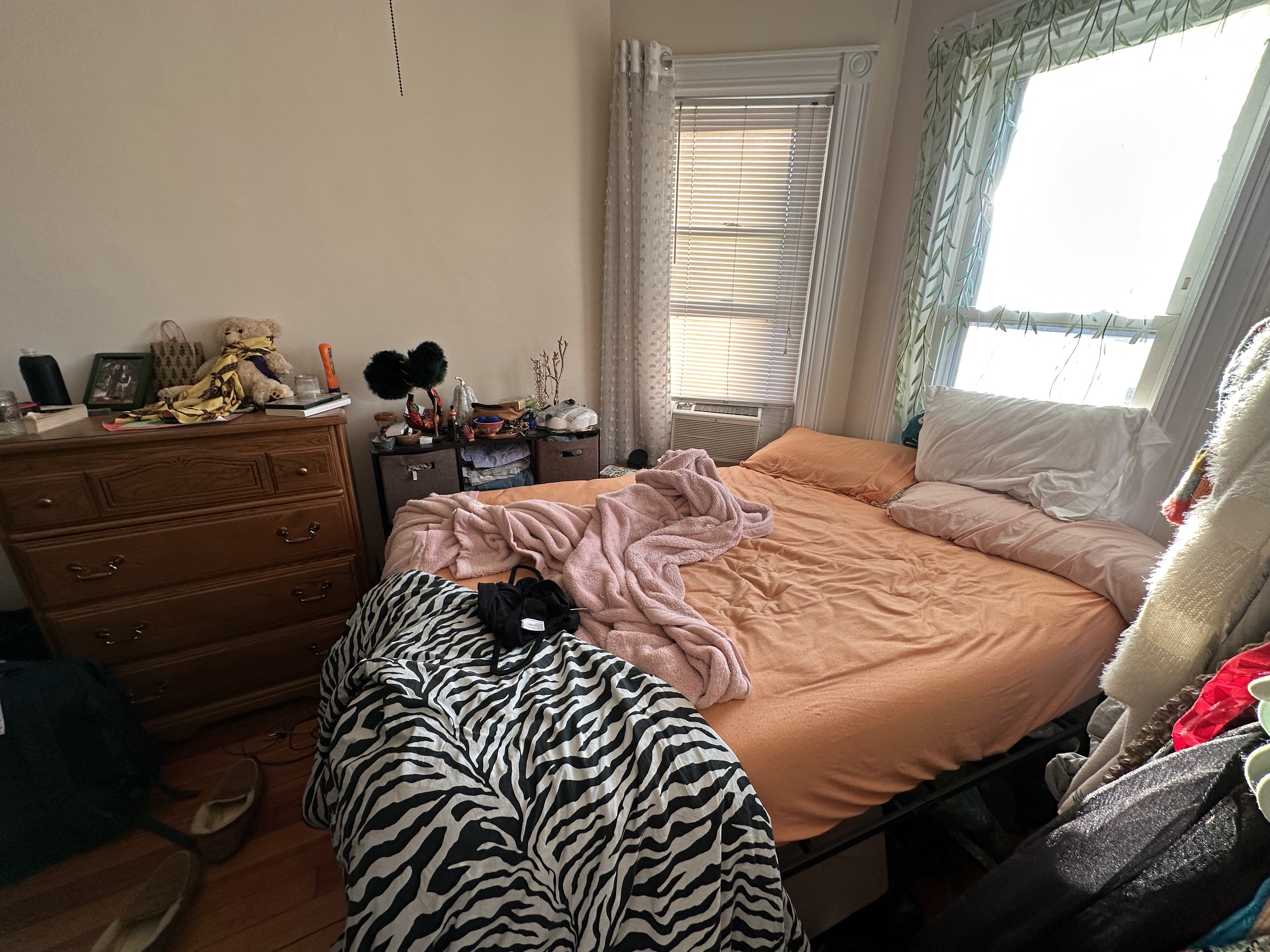 2 bed, 1 bath apartment for rent at 84 P St Unit 3, South Boston — photo 19 of 26