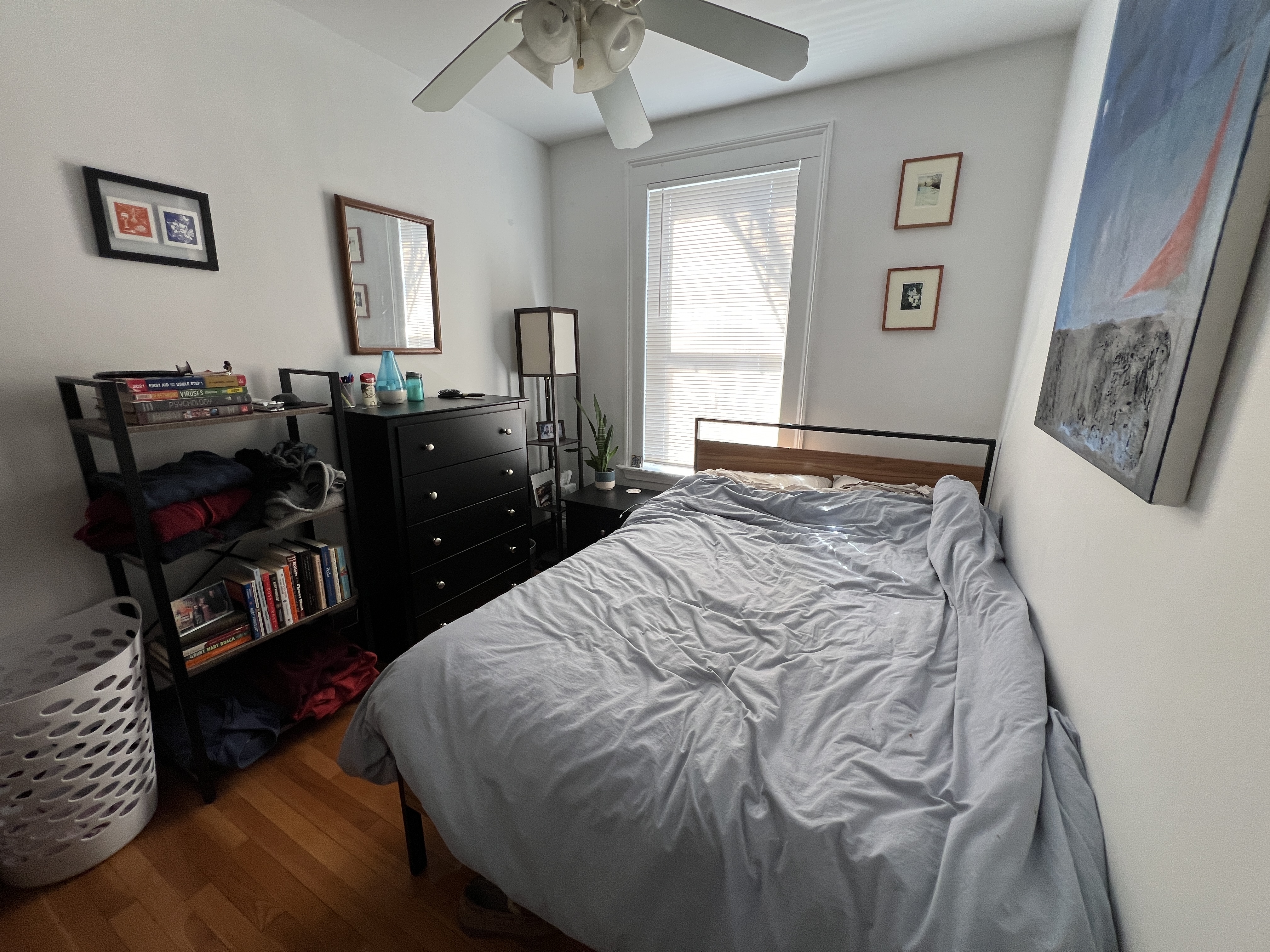 2 bed, 1 bath apartment for rent at 39 East Springfield St Unit 4, South End — photo 14 of 15