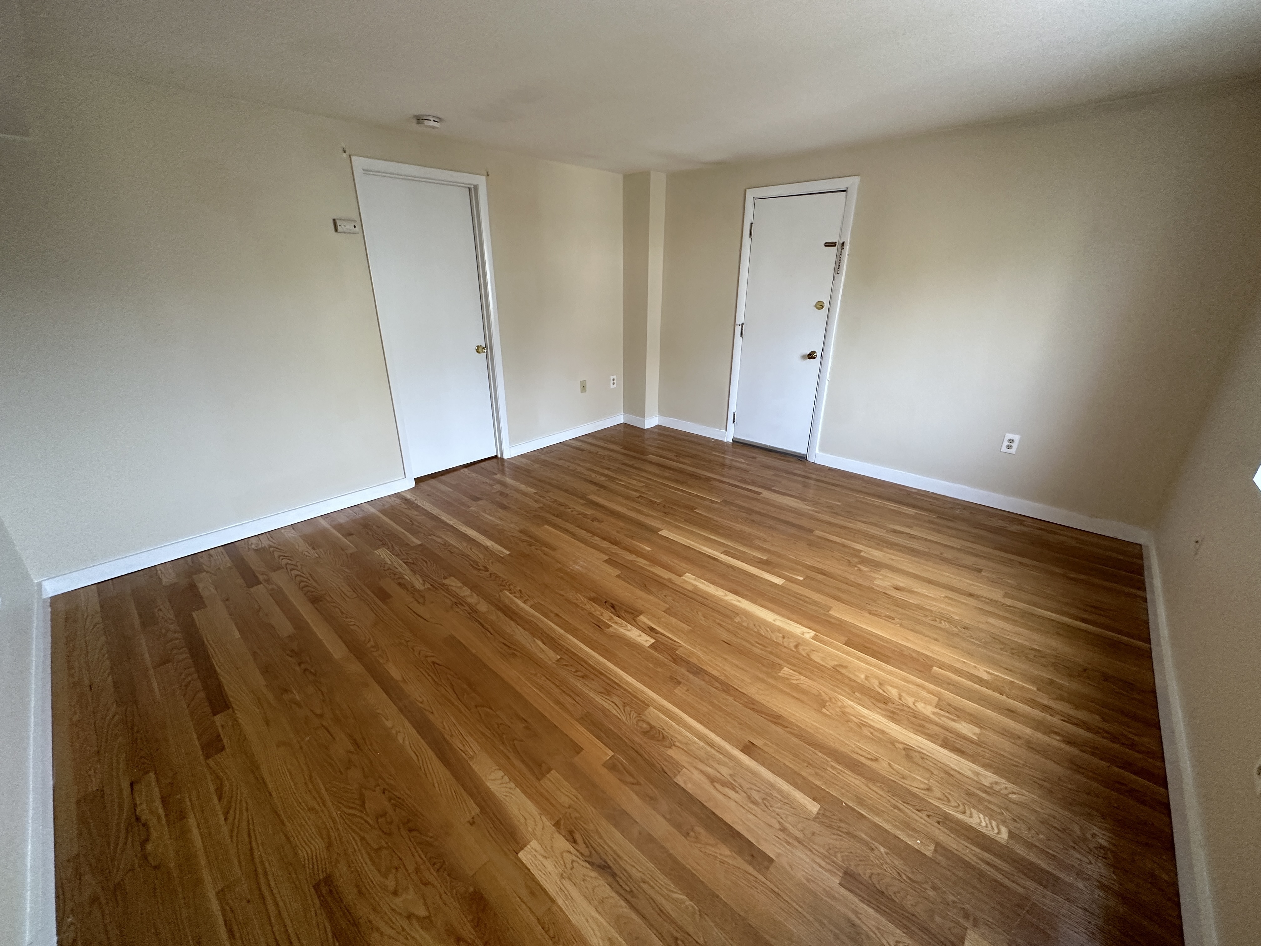 1 bed, 1 bath apartment for rent at 385 Dorchester St Unit B4-CF, South Boston — photo 2 of 17