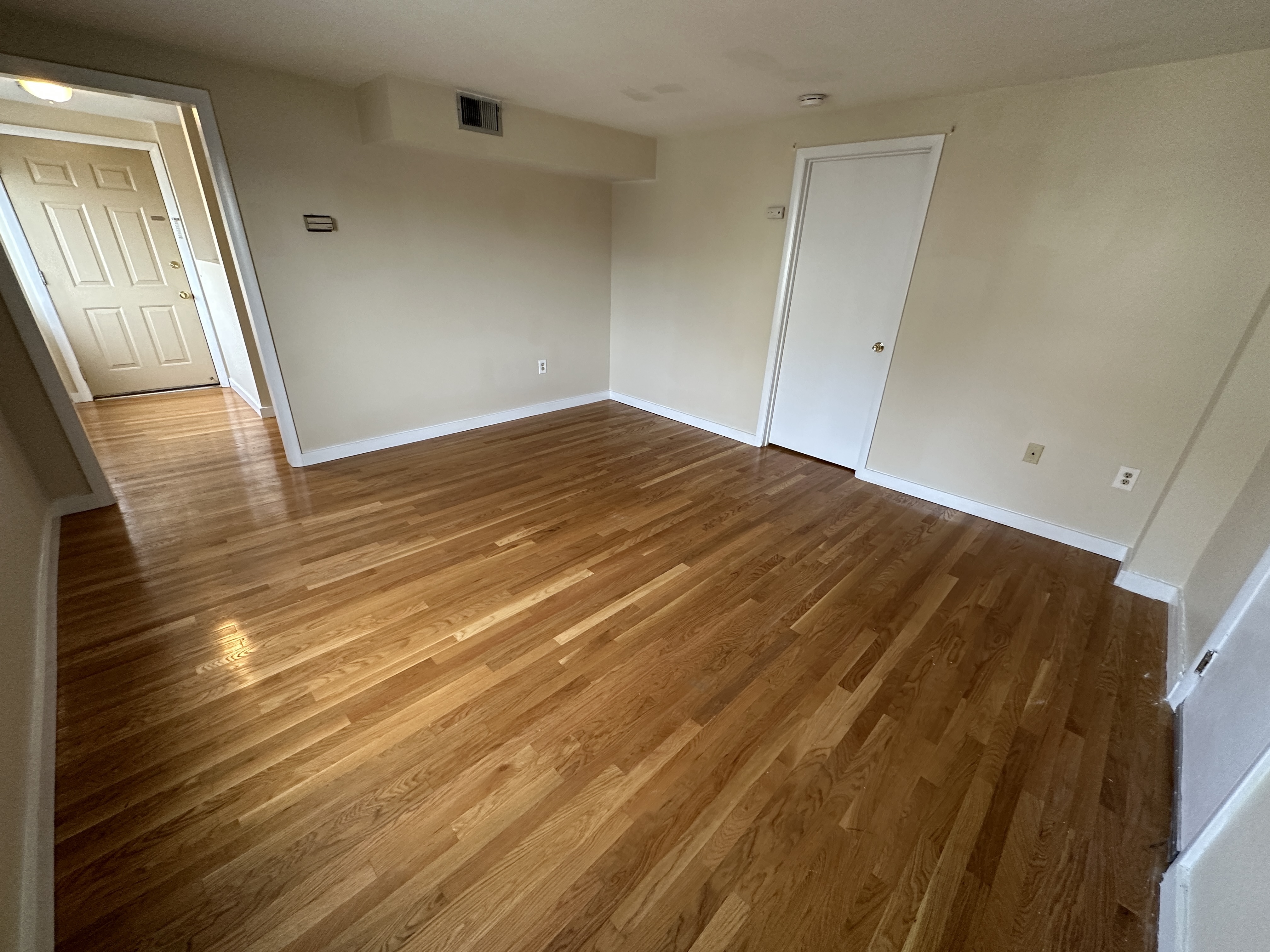 1 bed, 1 bath apartment for rent at 385 Dorchester St Unit B4-CF, South Boston — photo 3 of 17