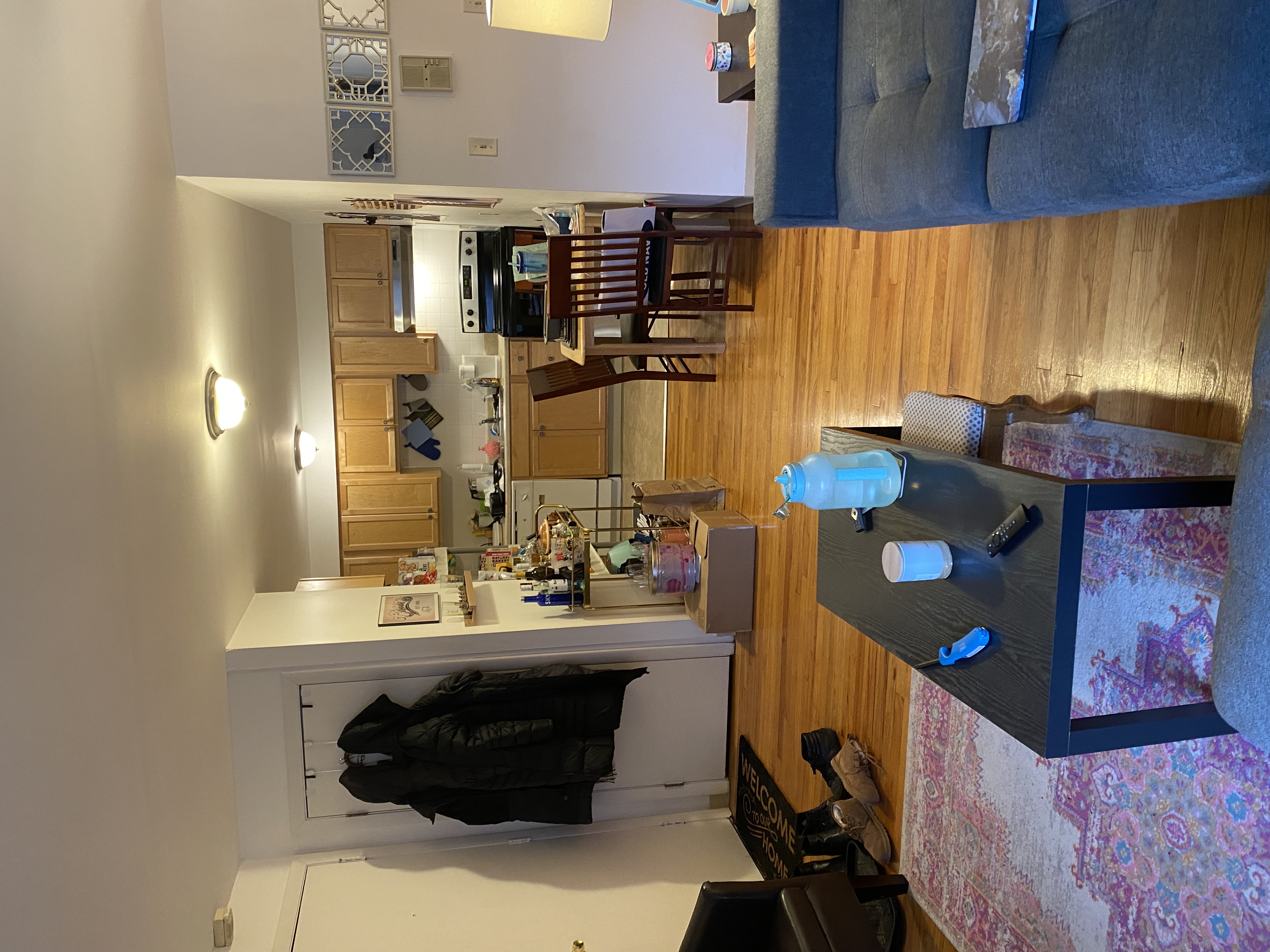 245 Kelton St, Brighton