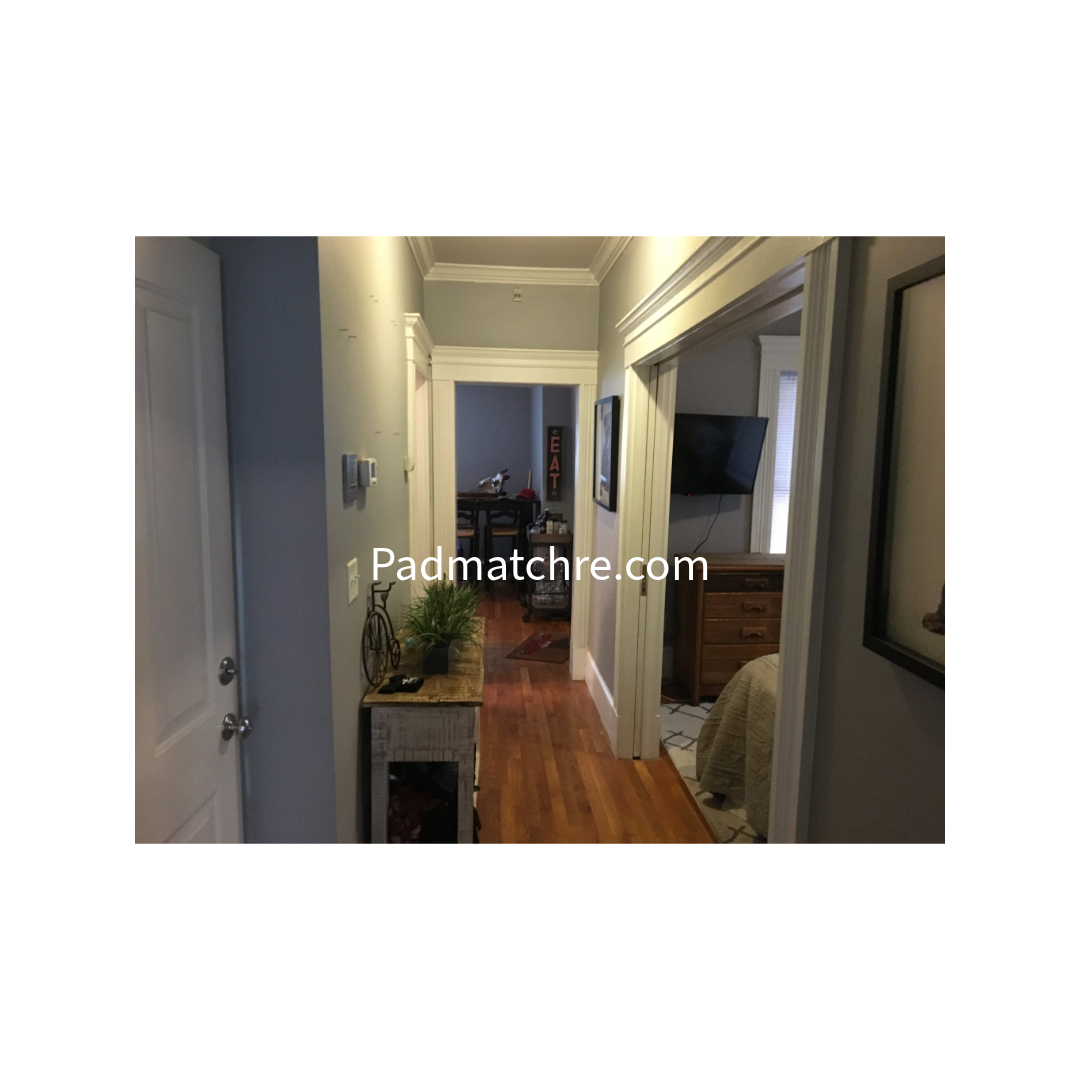 3 Grimes St, South Boston