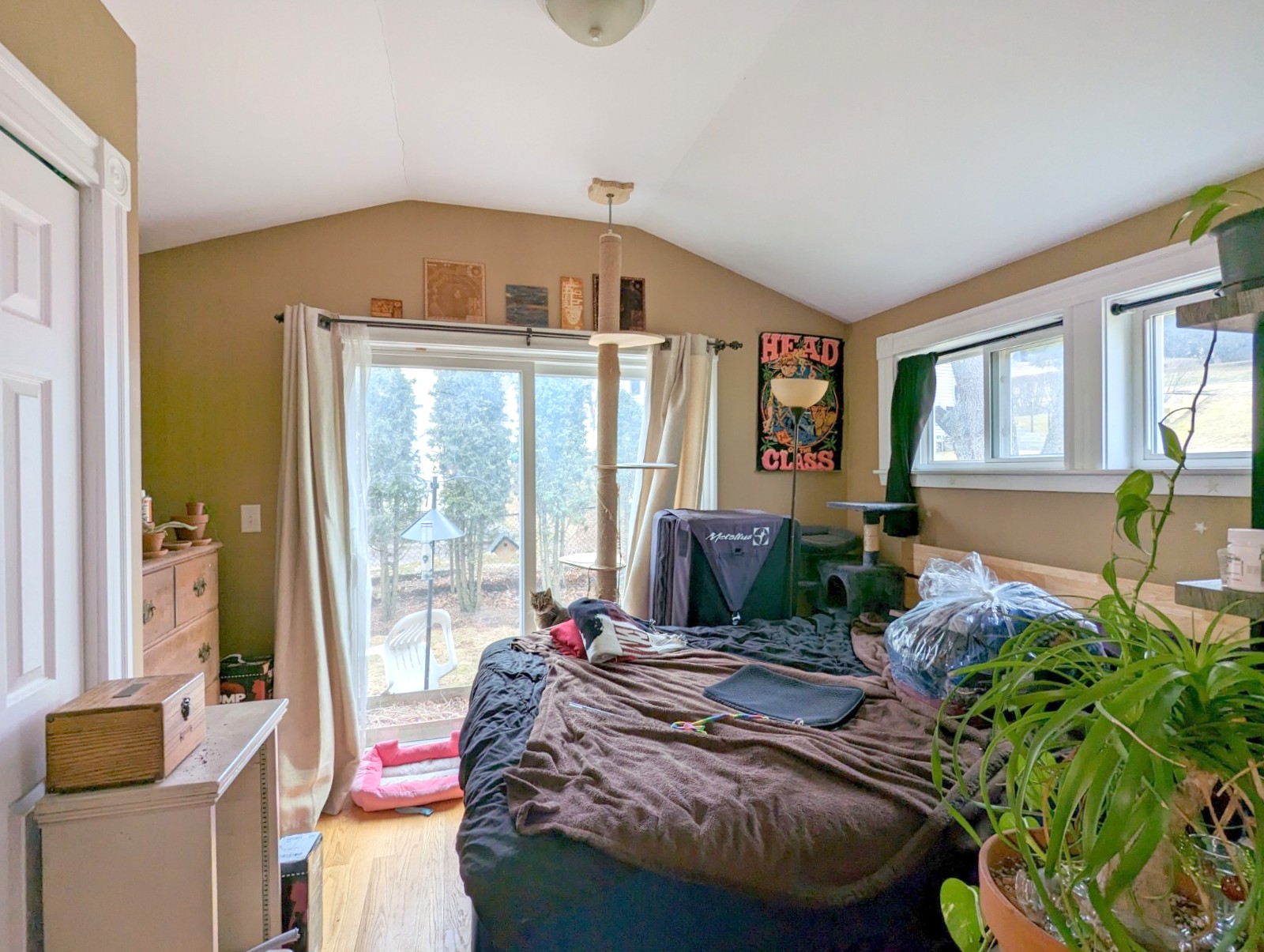 1 bed, 1 bath apartment for rent at 20 Bellevue St Unit A, Medford — photo 8 of 13