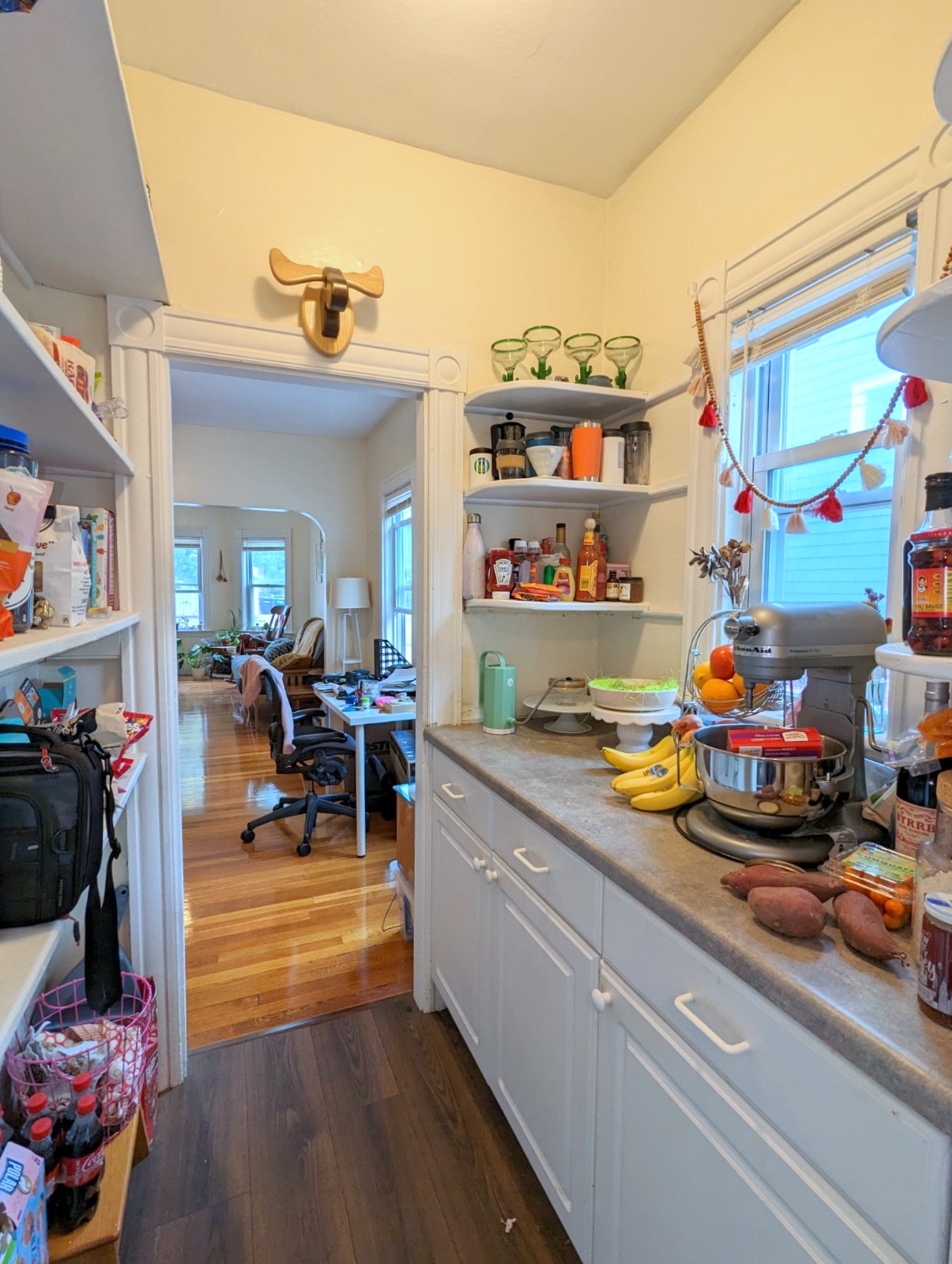 2.5 bed, 1 bath apartment for rent at 11-13 Porter St Unit 1, Spring Hill — photo 7 of 18