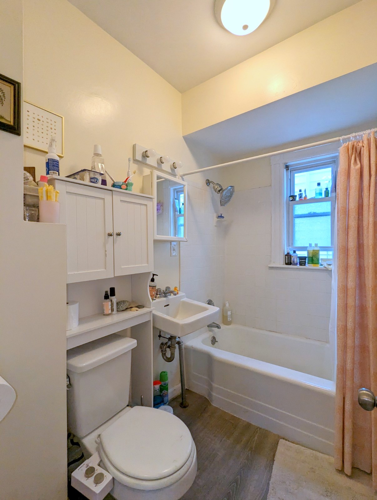 2.5 bed, 1 bath apartment for rent at 11-13 Porter St Unit 1, Spring Hill — photo 15 of 18
