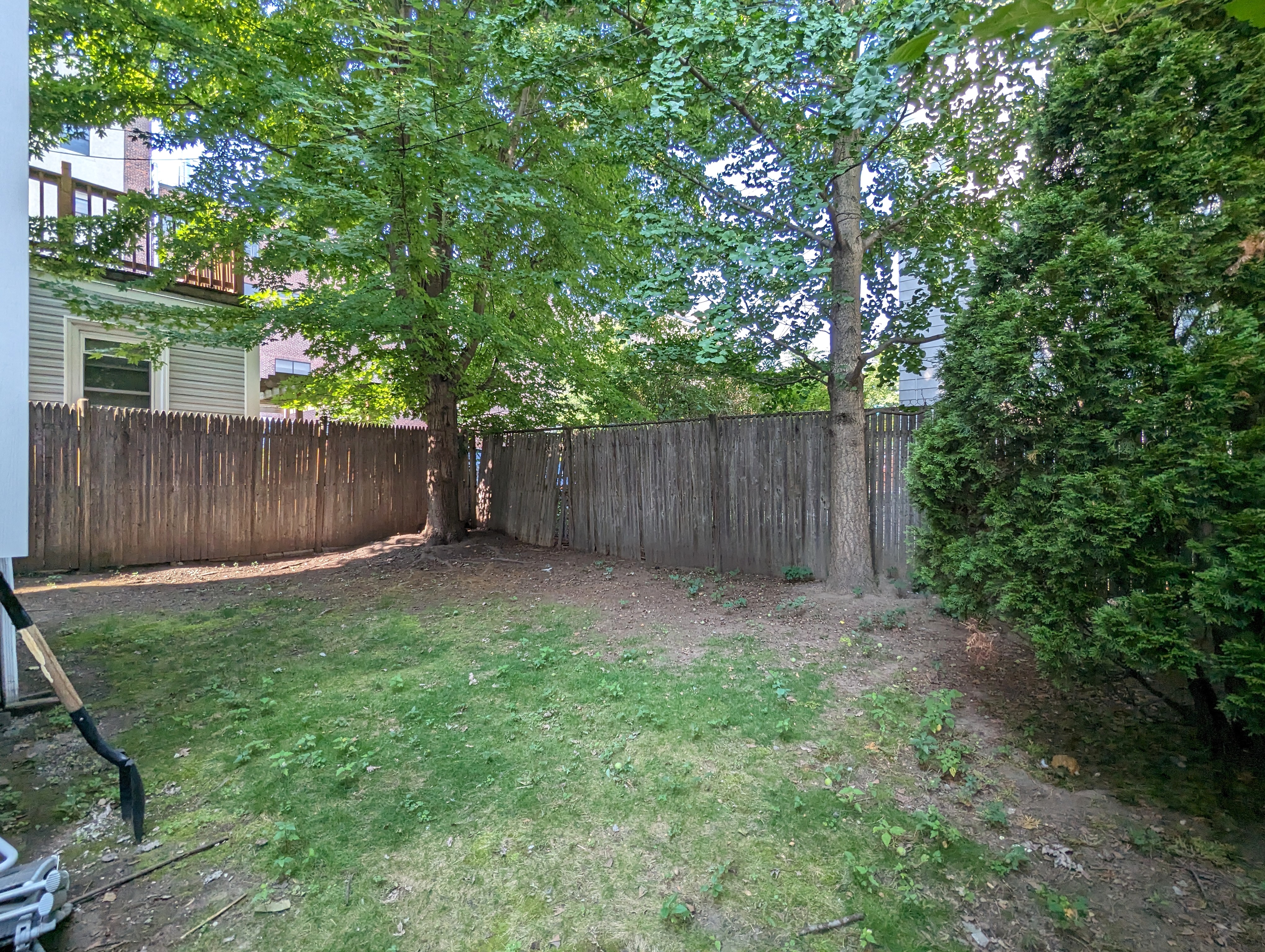 2.5 bed, 1.5 bath apartment for rent at 15 Douglass St Unit 15, Central Square — photo 16 of 17