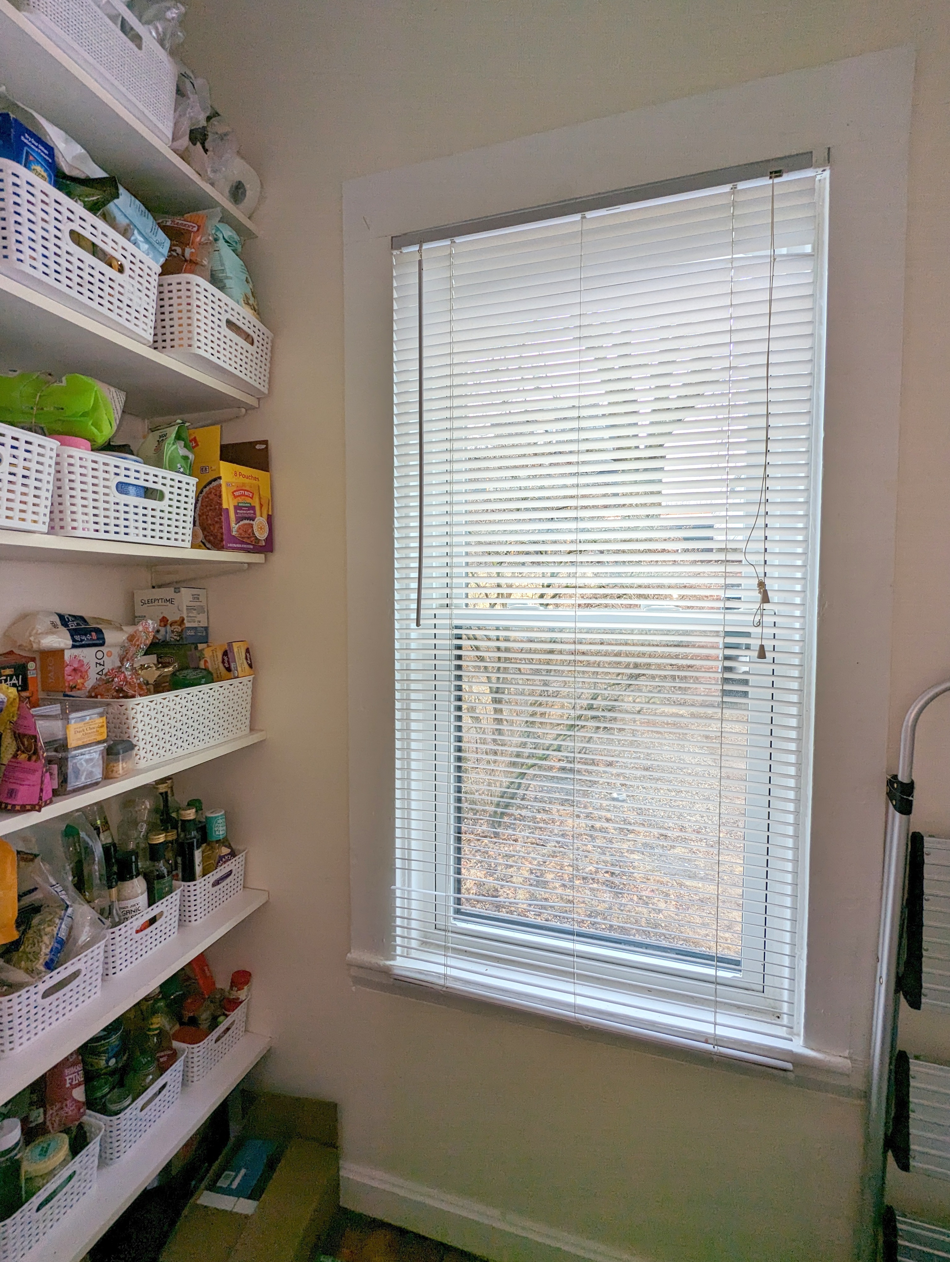 1 bed, 1 bath apartment for rent at 19 Howe St Unit 1, Winter Hill — photo 6 of 16