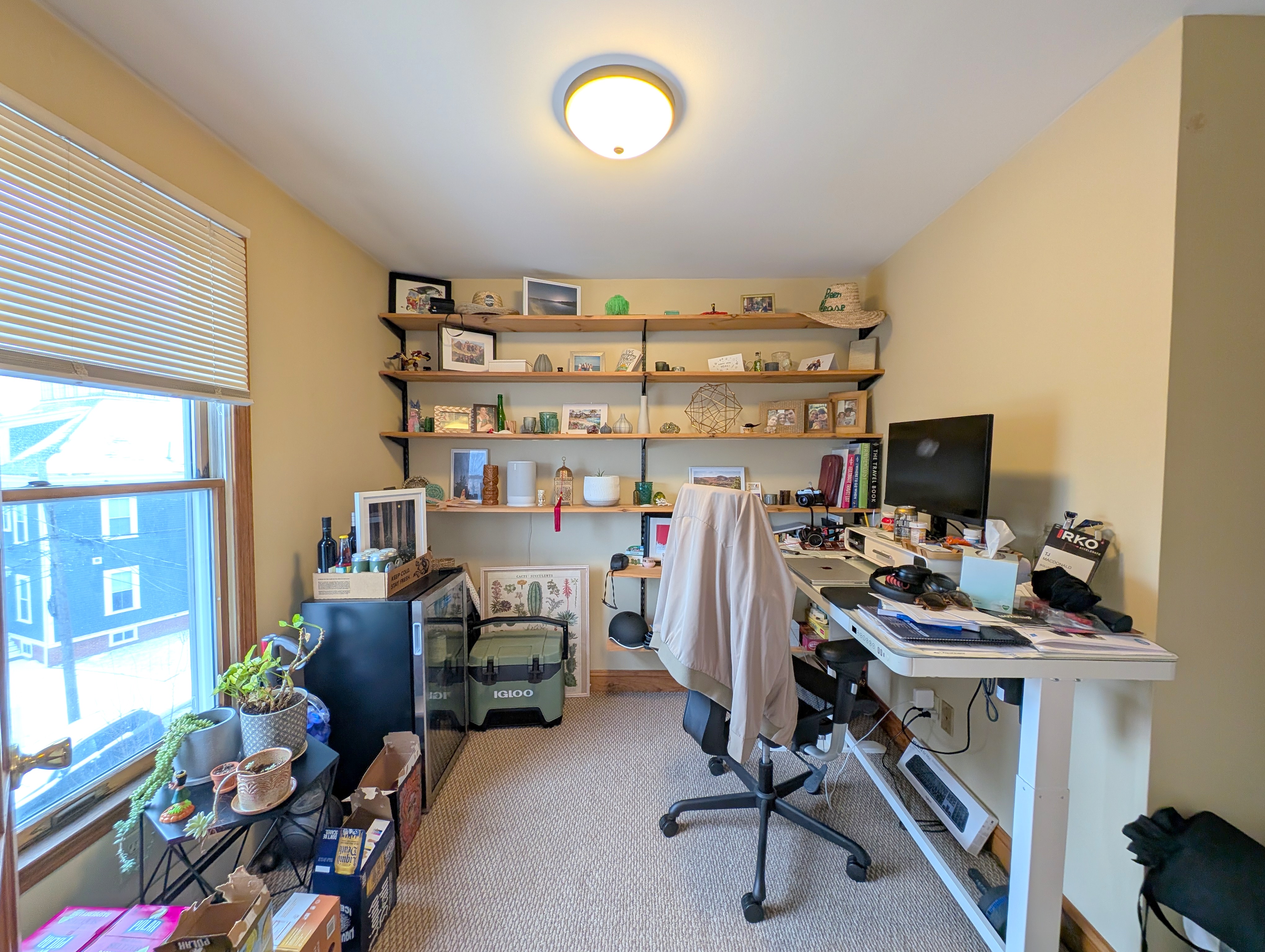 43 Greenville St, Prospect Hill