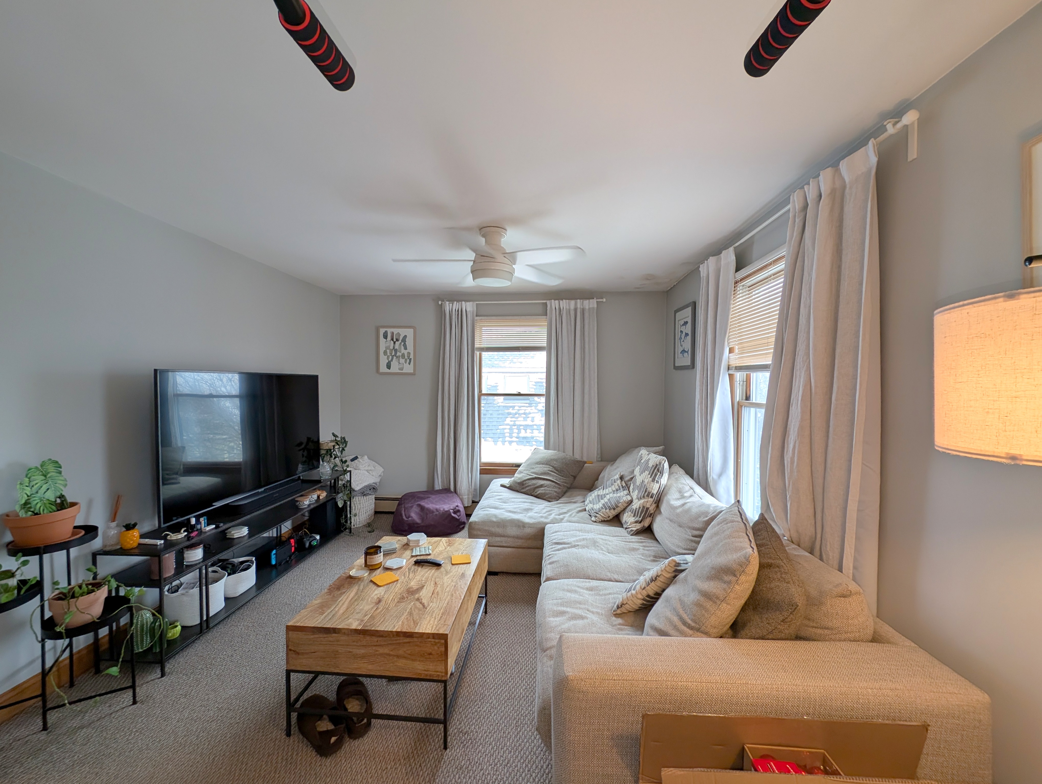 43 Greenville St, Prospect Hill