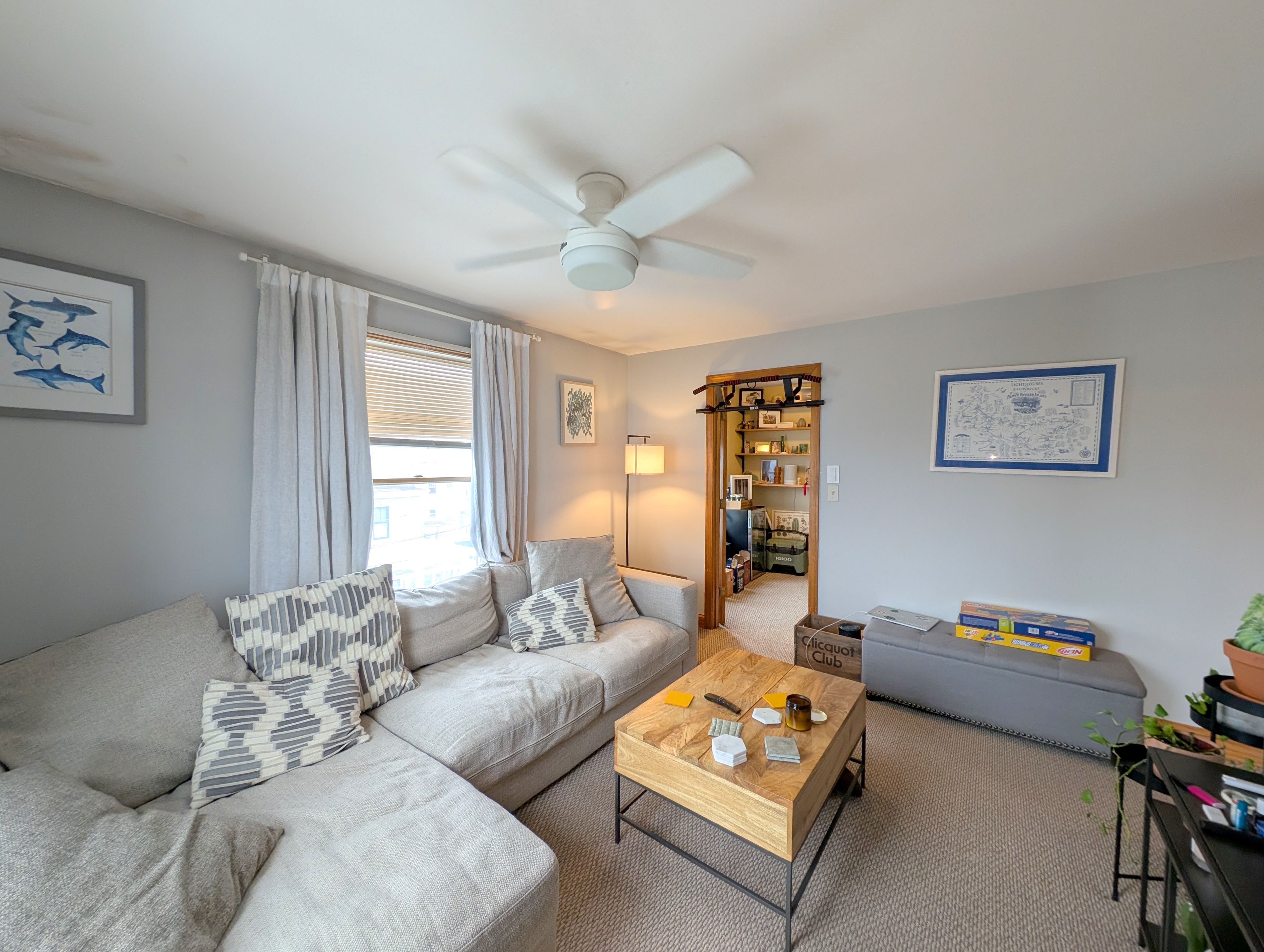 43 Greenville St, Prospect Hill