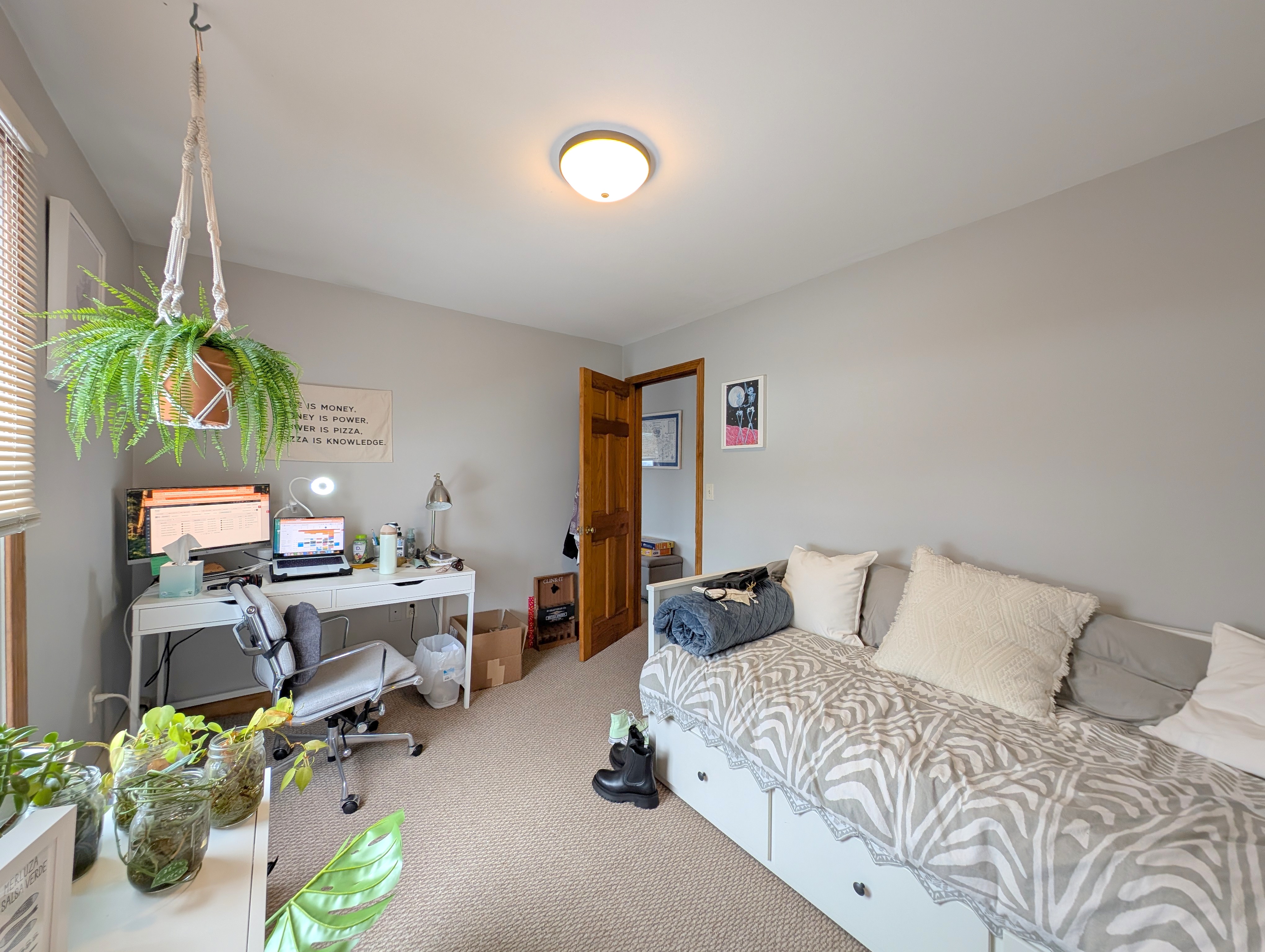 43 Greenville St, Prospect Hill