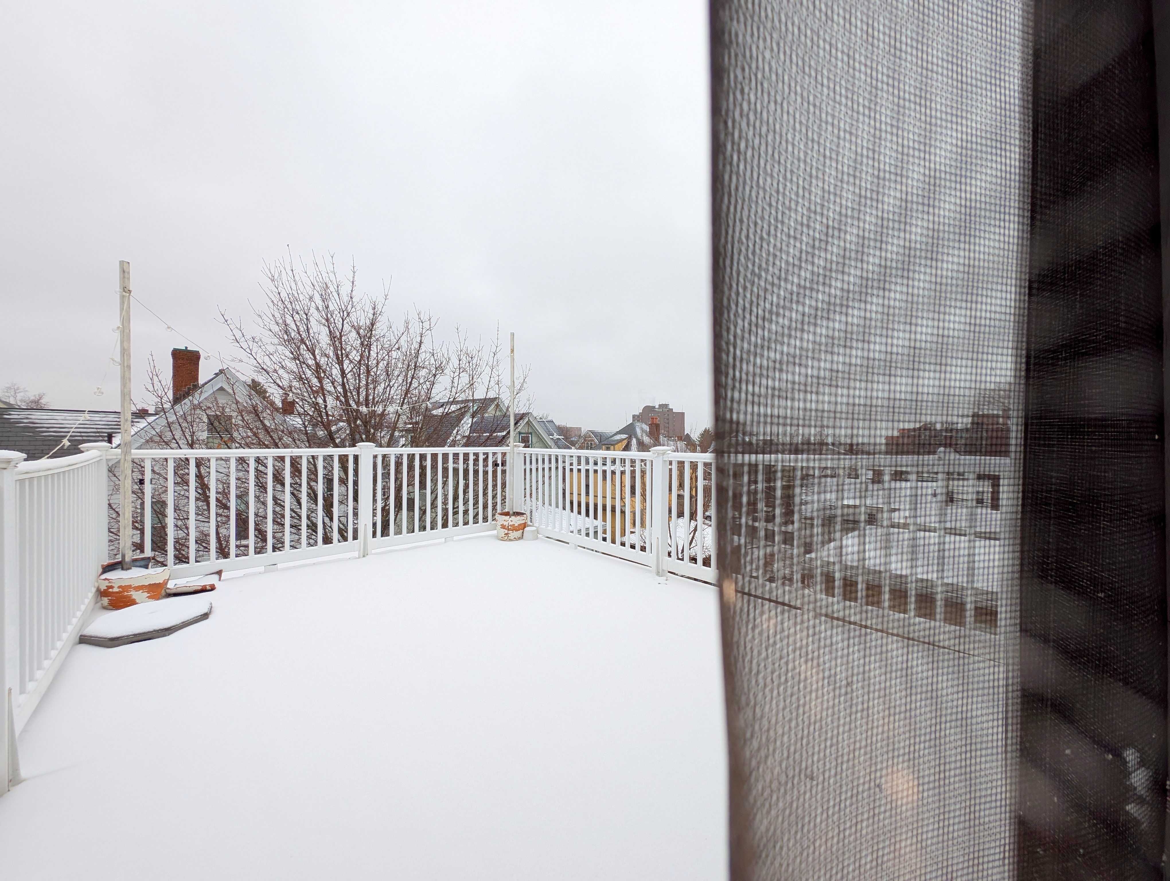 43 Greenville St, Prospect Hill