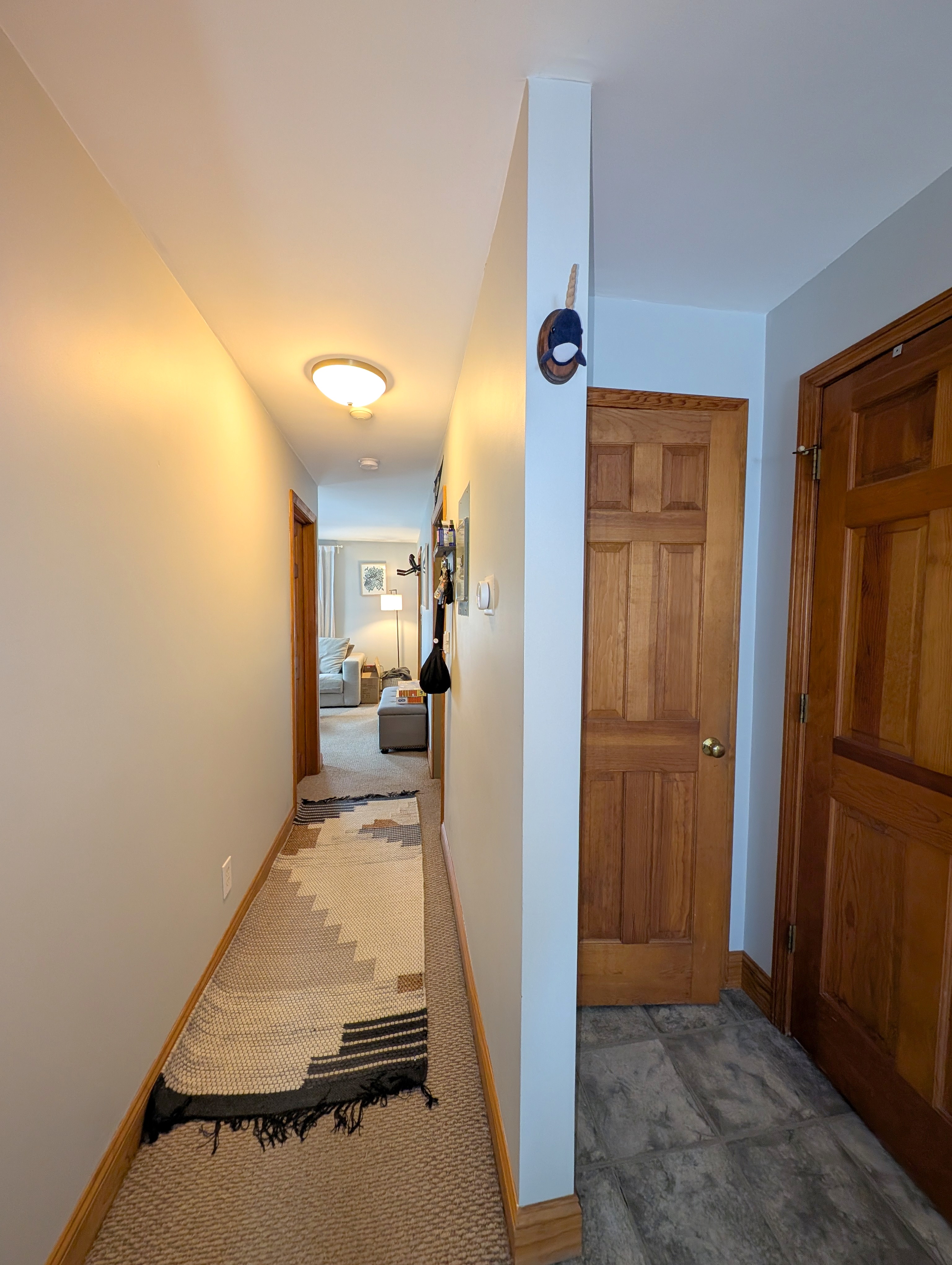 43 Greenville St, Prospect Hill