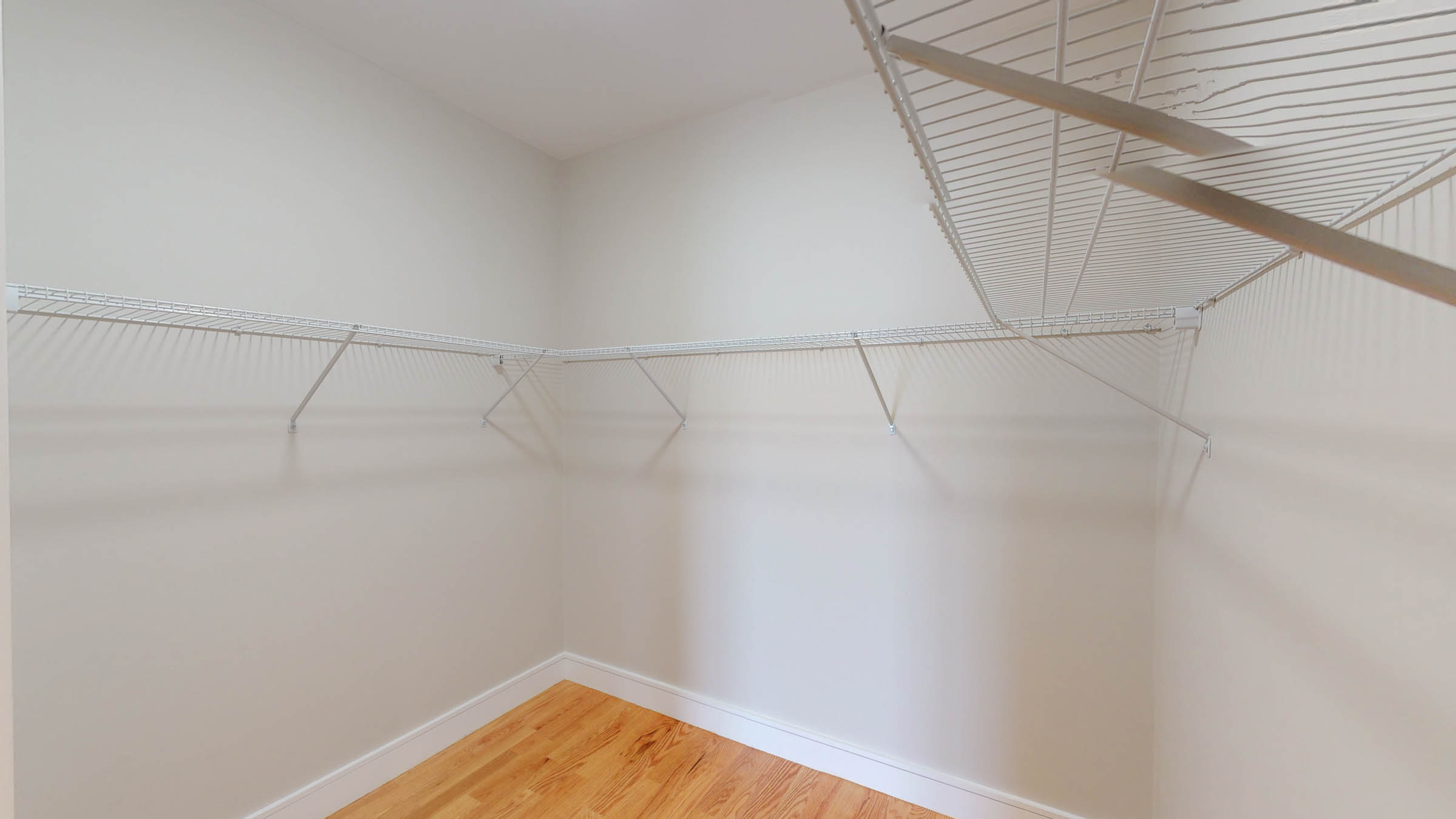 2 bed, 2 bath apartment for rent at 81 Chestnut Hill Ave Unit 203, Brighton — photo 8 of 26