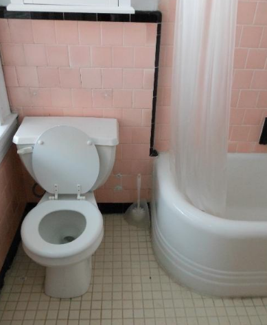 1 bed, 1 bath apartment for rent at 2 Ware St Unit 11, Harvard Square — photo 6 of 8