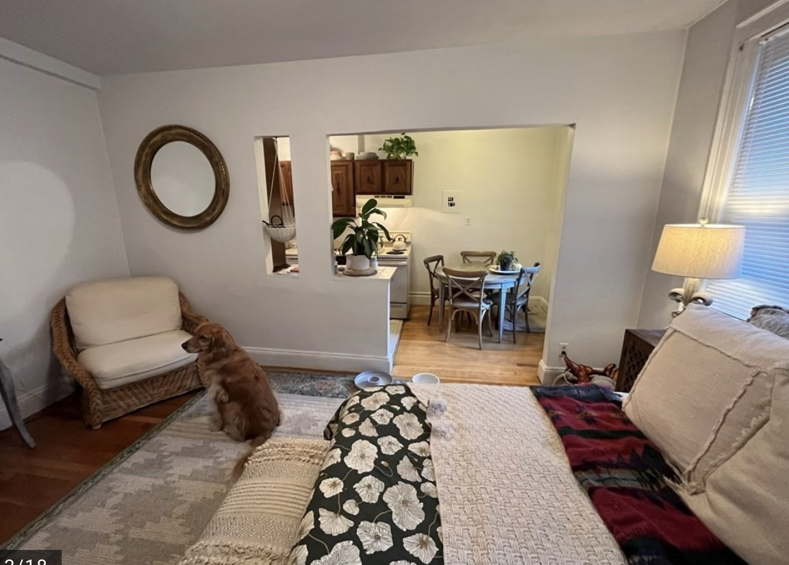 Studio bed, 1 bath apartment for rent at 52 Strathmore Rd Unit 2, Brighton — photo 5 of 8