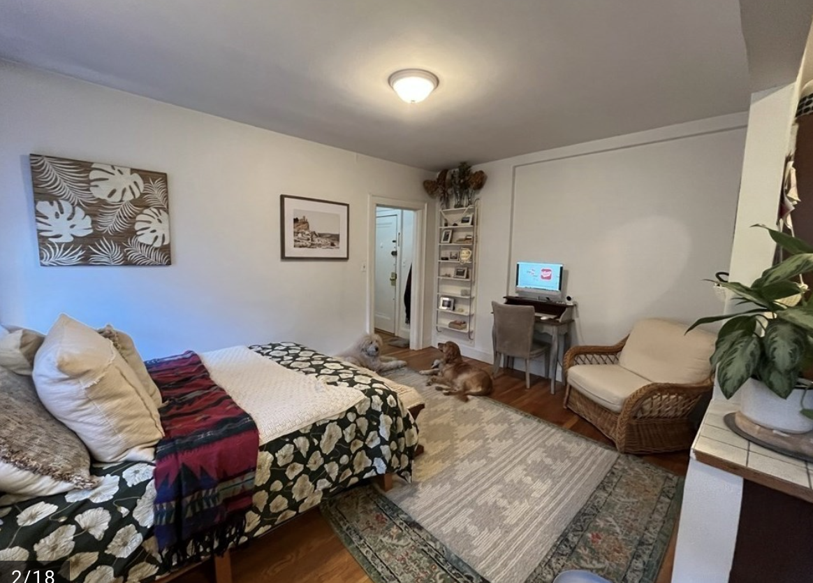 Studio bed, 1 bath apartment for rent at 52 Strathmore Rd Unit 2, Brighton — photo 2 of 8