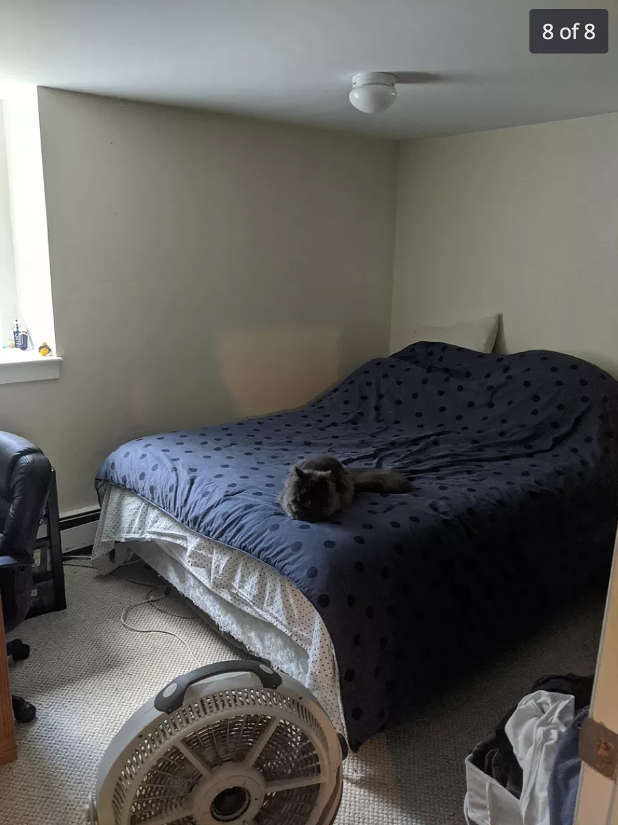 2 bed, 1 bath apartment for rent at 227 Faneuil St Unit H, Brighton — photo 8 of 10