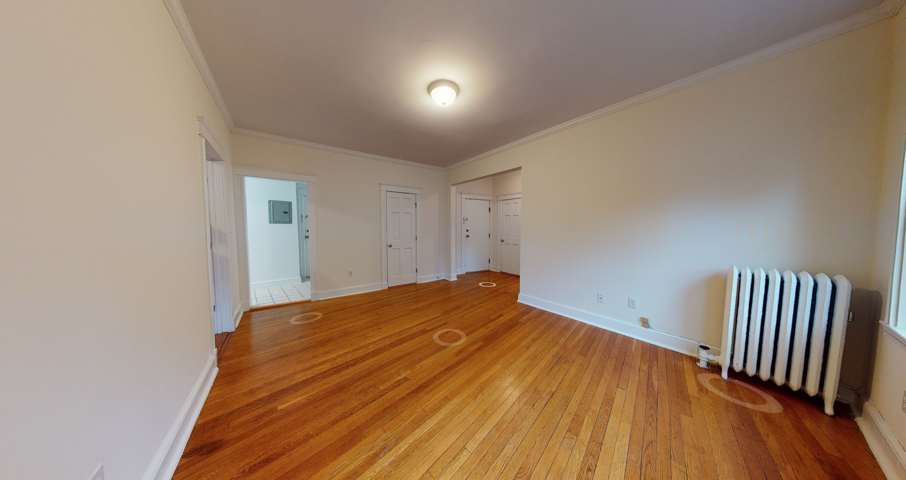 1 bed, 1 bath apartment for rent at 116 Kilsyth Rd Unit 2, Brighton — photo 3 of 8