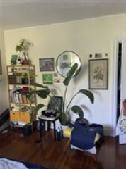5 bed, 3 bath apartment for rent at 89 Franklin St Unit 1, Allston — photo 4 of 6