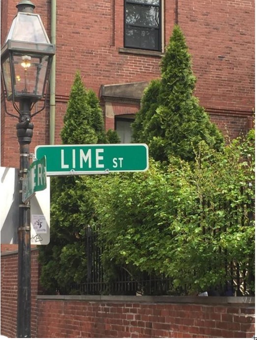 1 bed, 1 bath apartment for rent at 20 Lime St Unit 43, Beacon Hill — photo 2 of 14
