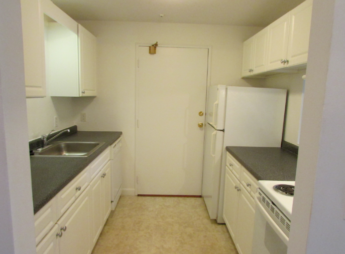 2 bed, 1 bath apartment for rent at 89 Elmwood Unit 89-02D, Quincy — photo 1 of 4