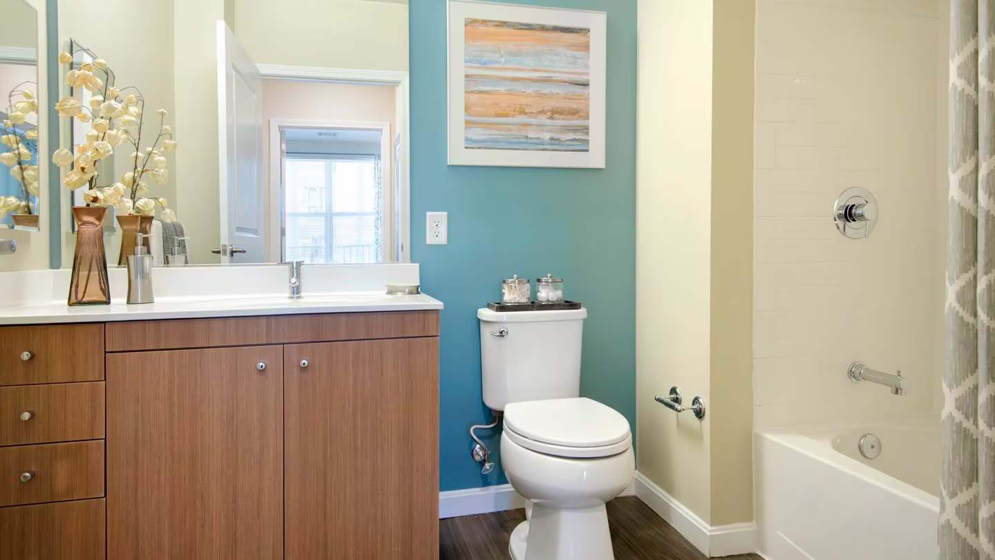 Studio bed, 1 bath apartment for rent at 229 Quarry St Unit 5-5506, Quincy Center — photo 7 of 13