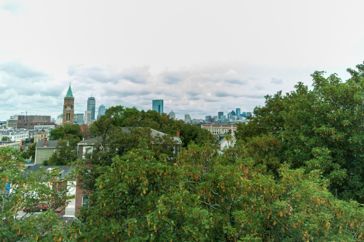 2 bed, 1 bath apartment for rent at 6 Moreland St Unit 3, Roxbury — photo 11 of 11