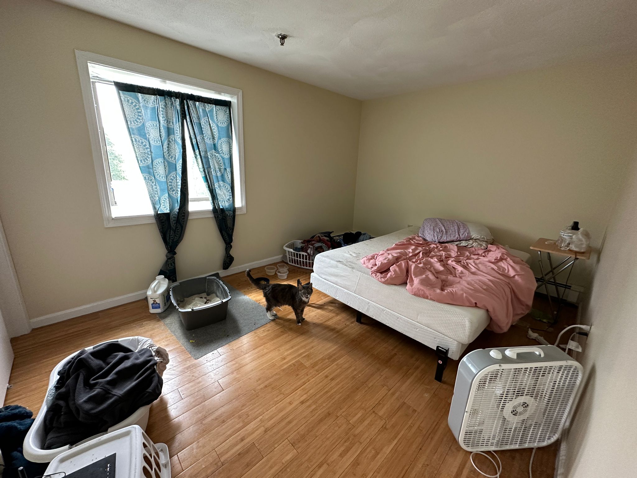 1 bed, 1 bath apartment for rent at 85 Broad St Unit 325, Marlborough
