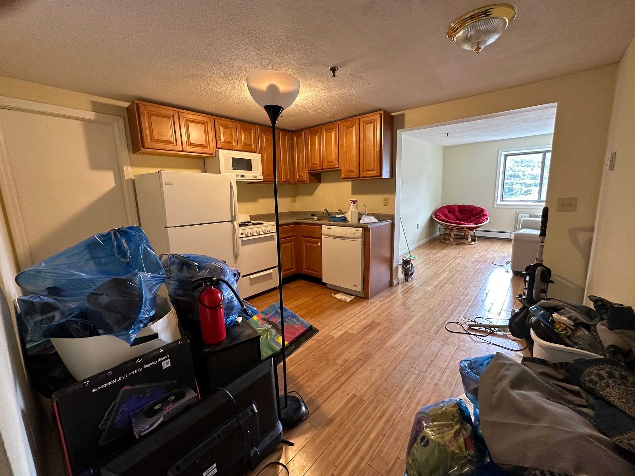 1 bed, 1 bath apartment for rent at 85 Broad St Unit 325, Marlborough — photo 3 of 4
