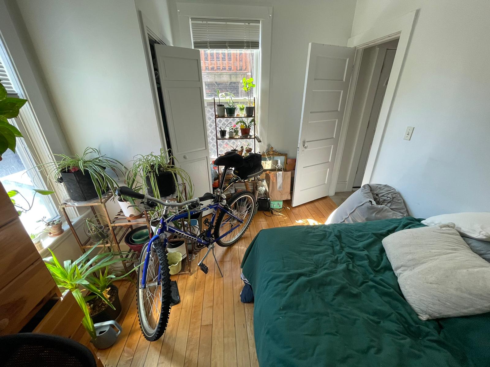 3 bed, 1.5 bath apartment for rent at 1516 Commonwealth Ave Unit 0, Brighton — photo 4 of 19