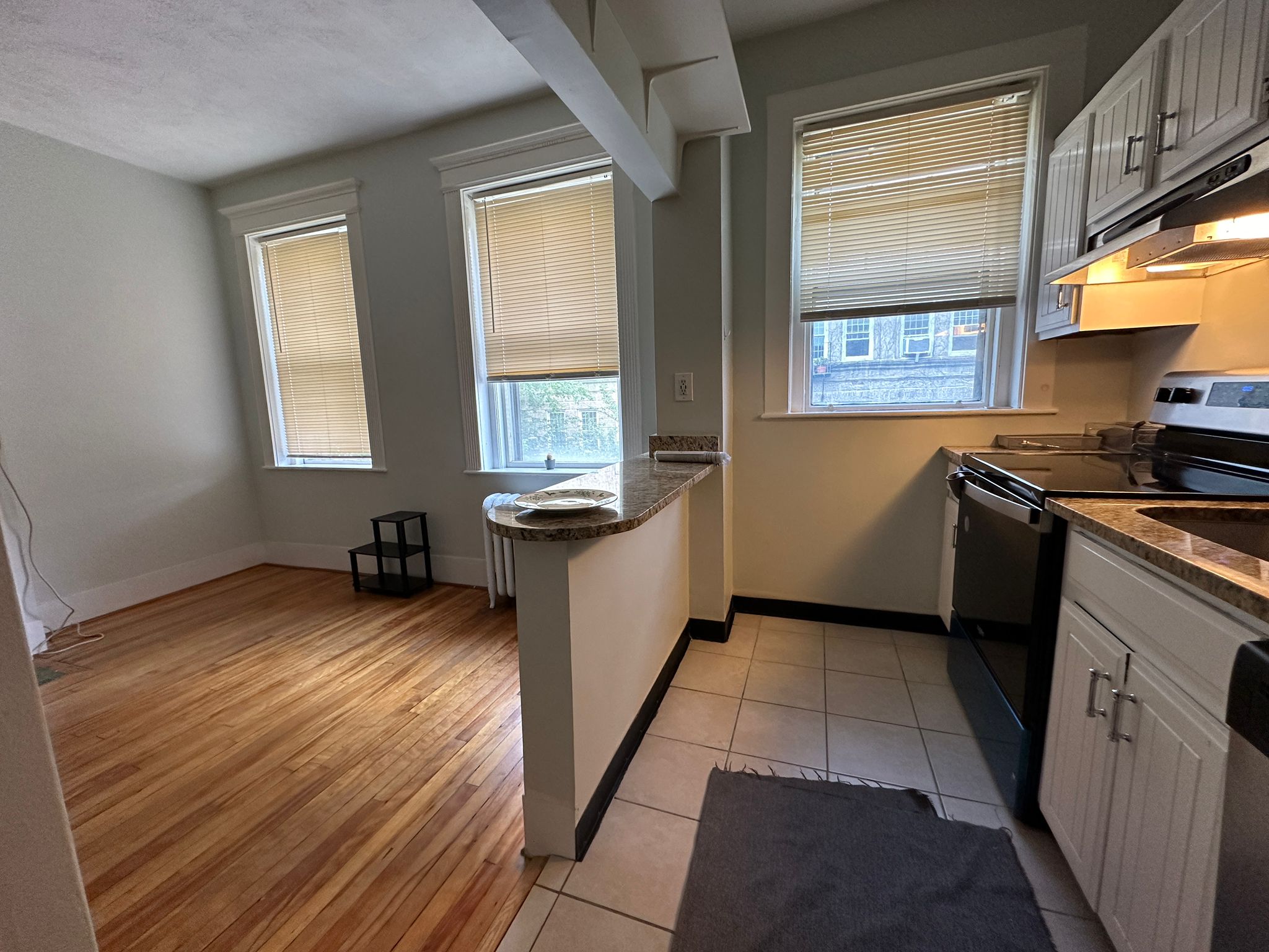1 bed, 1 bath apartment for rent at 5 Spofford Rd Unit 9, Brighton — photo 2 of 16