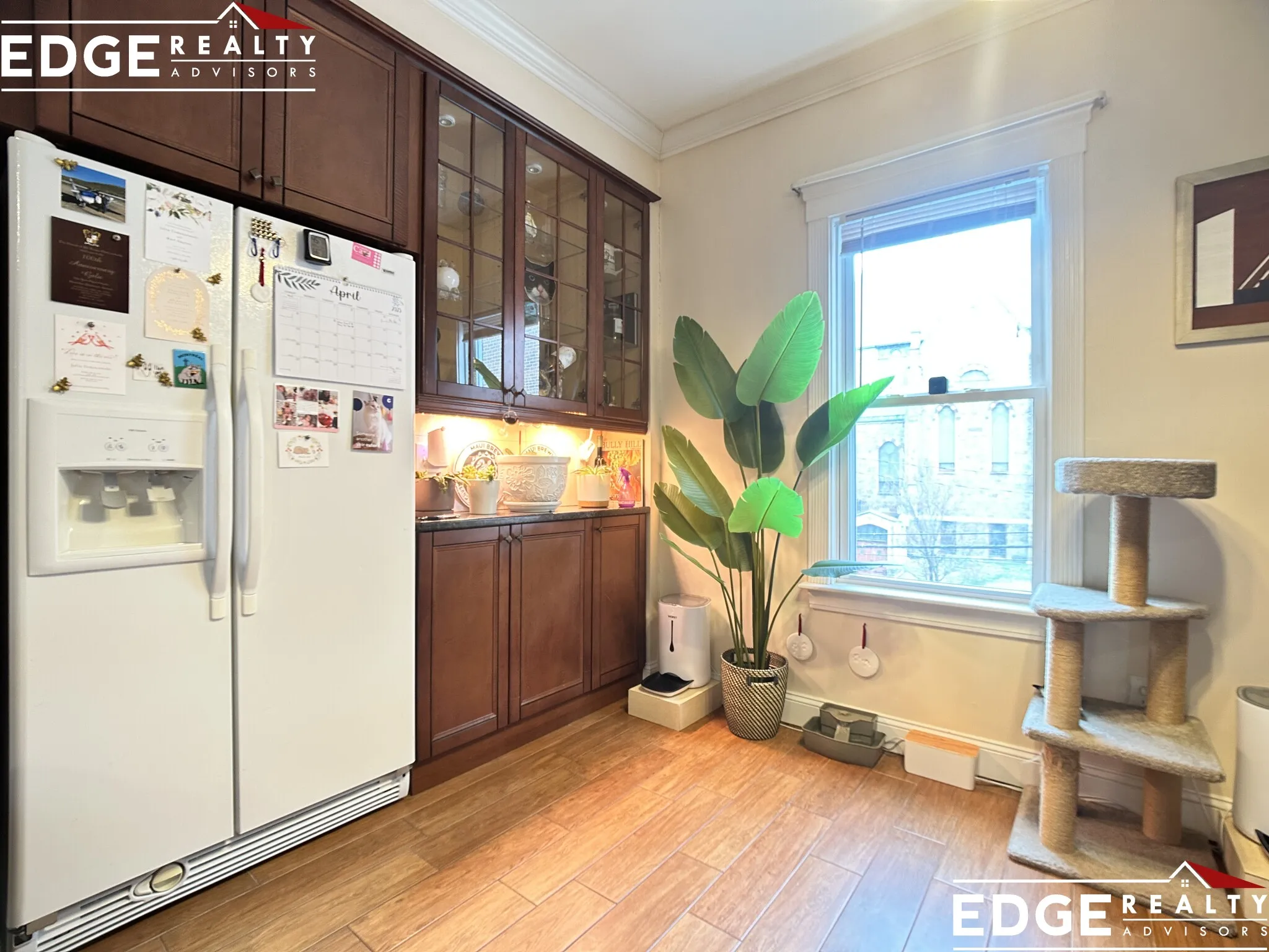 6 Delaware Pl, Brighton