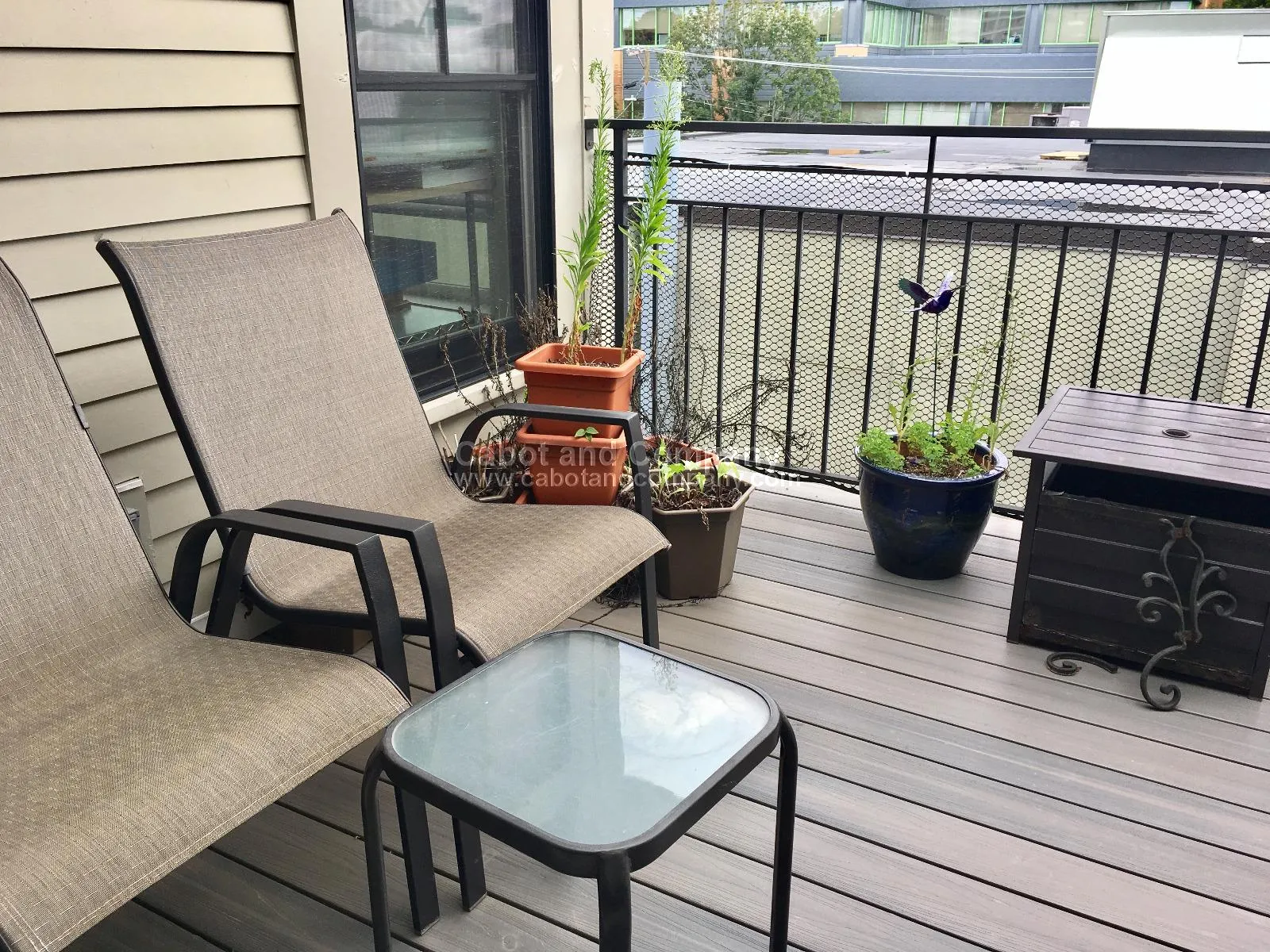 72 Hamilton St, Cambridgeport