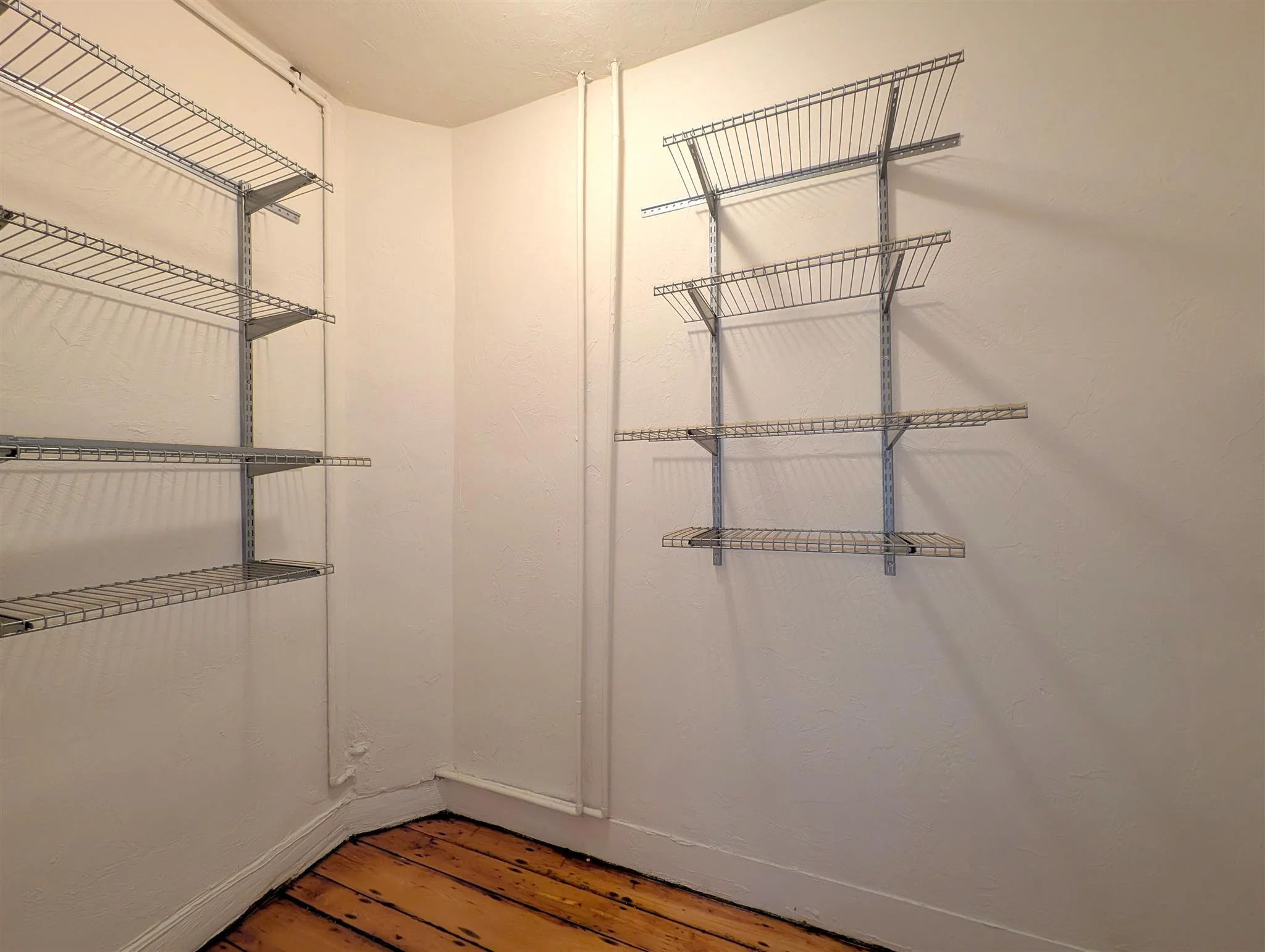 61 Webster Ave, Ward Two