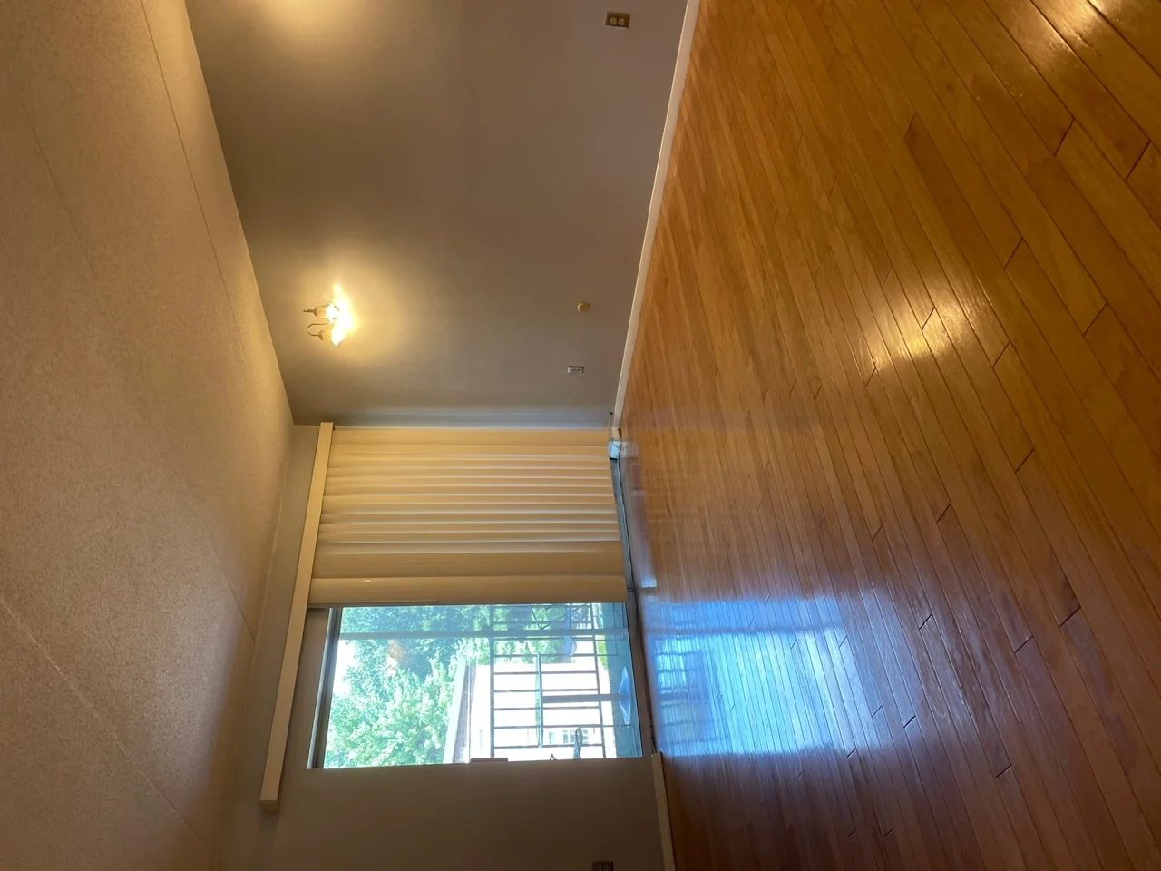 56 Broadlawn Park, Chestnut Hill