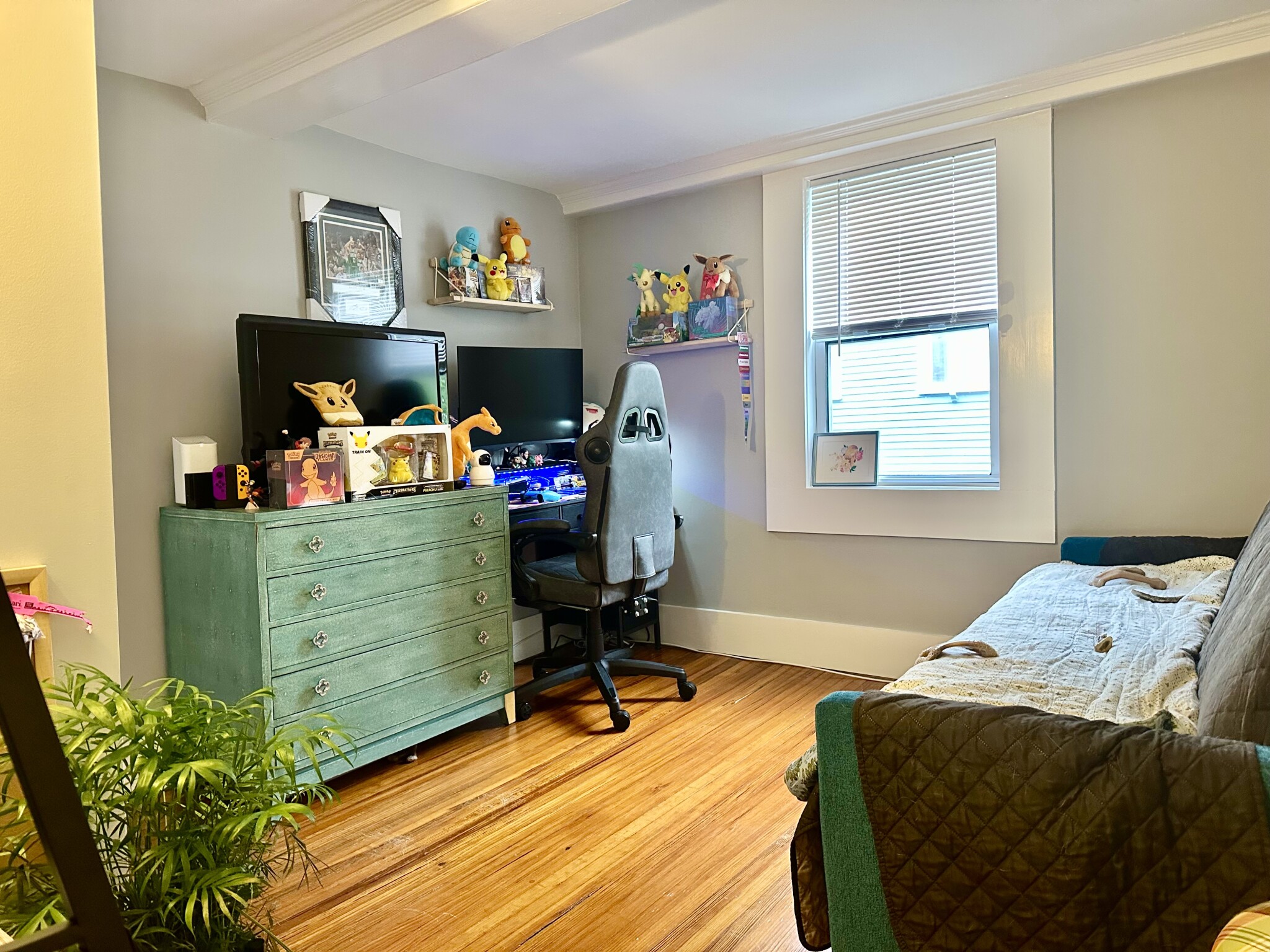 11 Forrester St, Salem