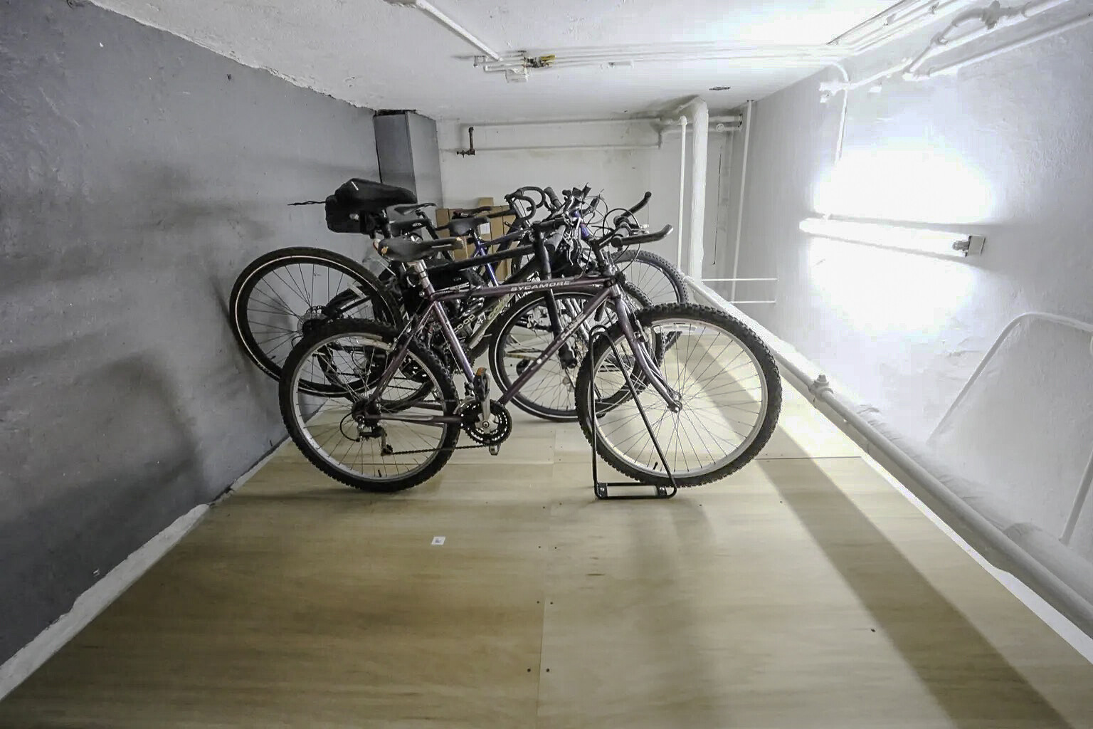 230 Walnut St, Newtonville