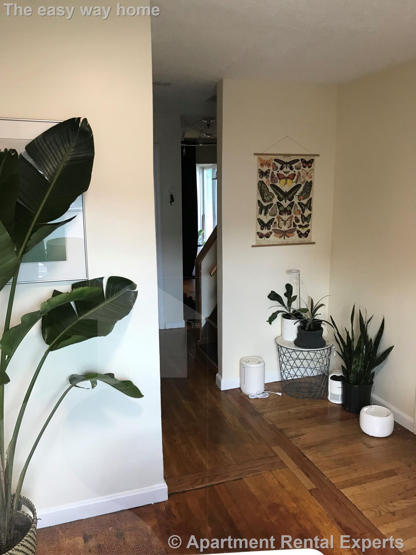 15 Auburn Ave, East Somerville