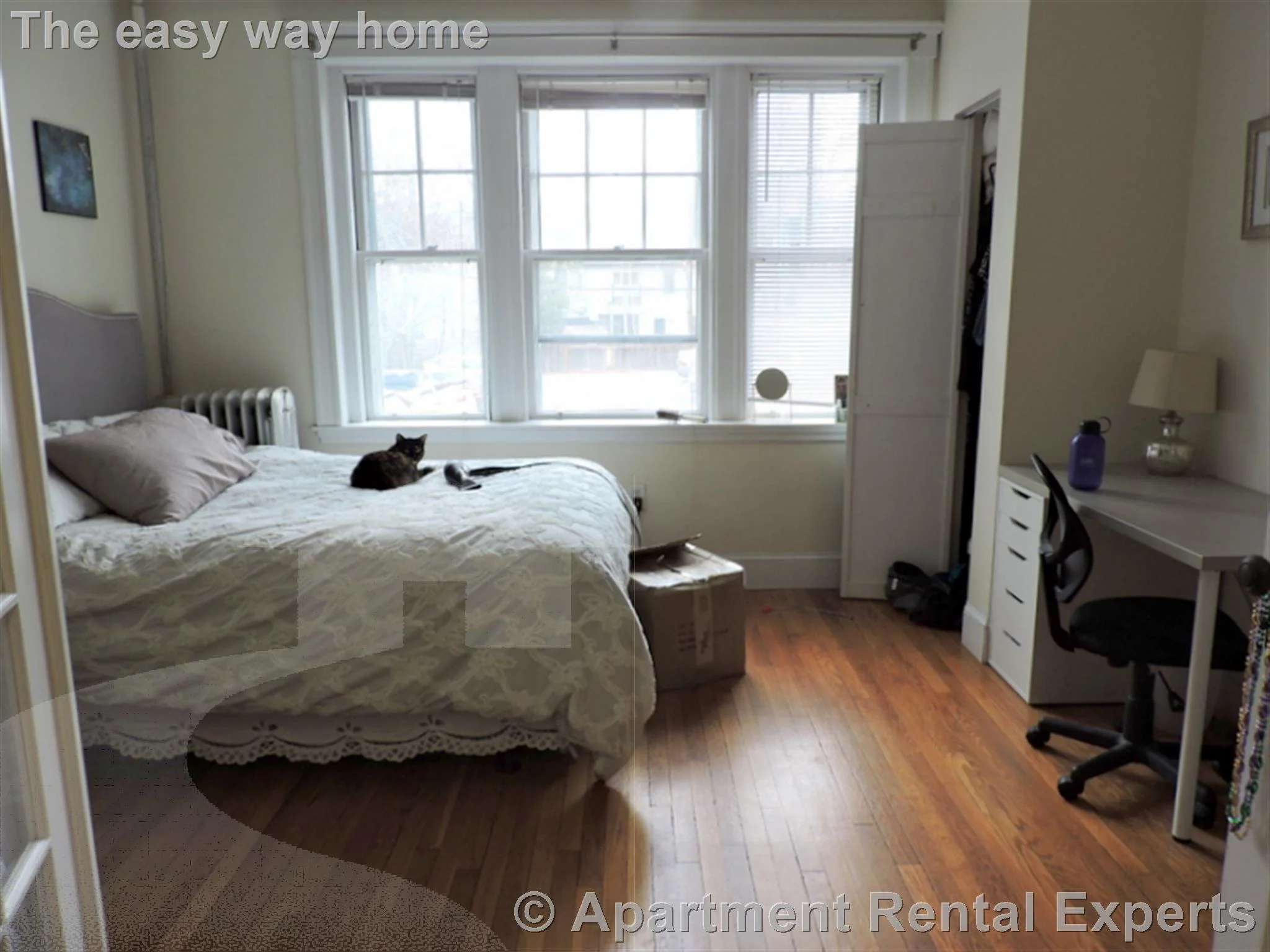 11 Ellery St, Mid Cambridge