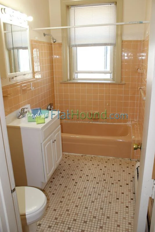 56 Brighton Ave, Brighton