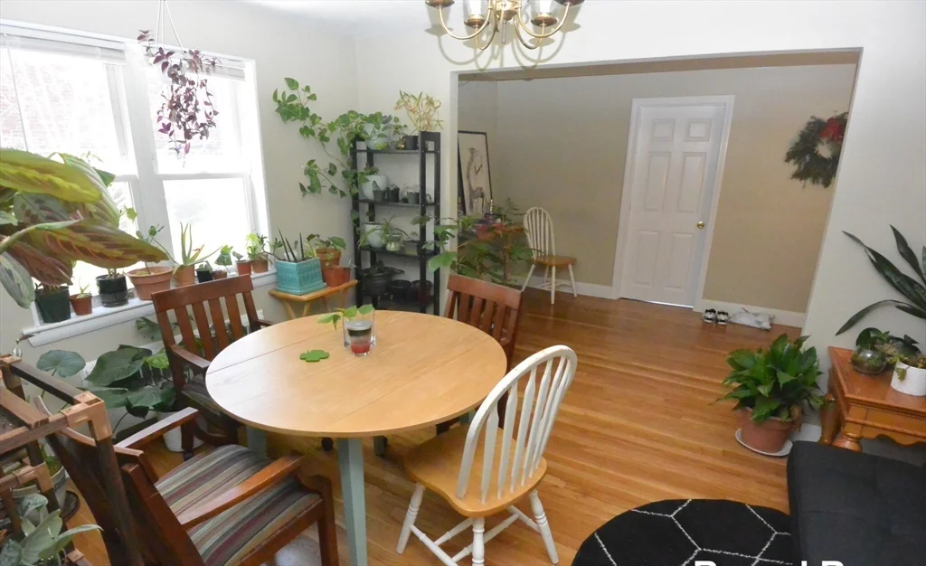 271 Corey Rd, Brighton