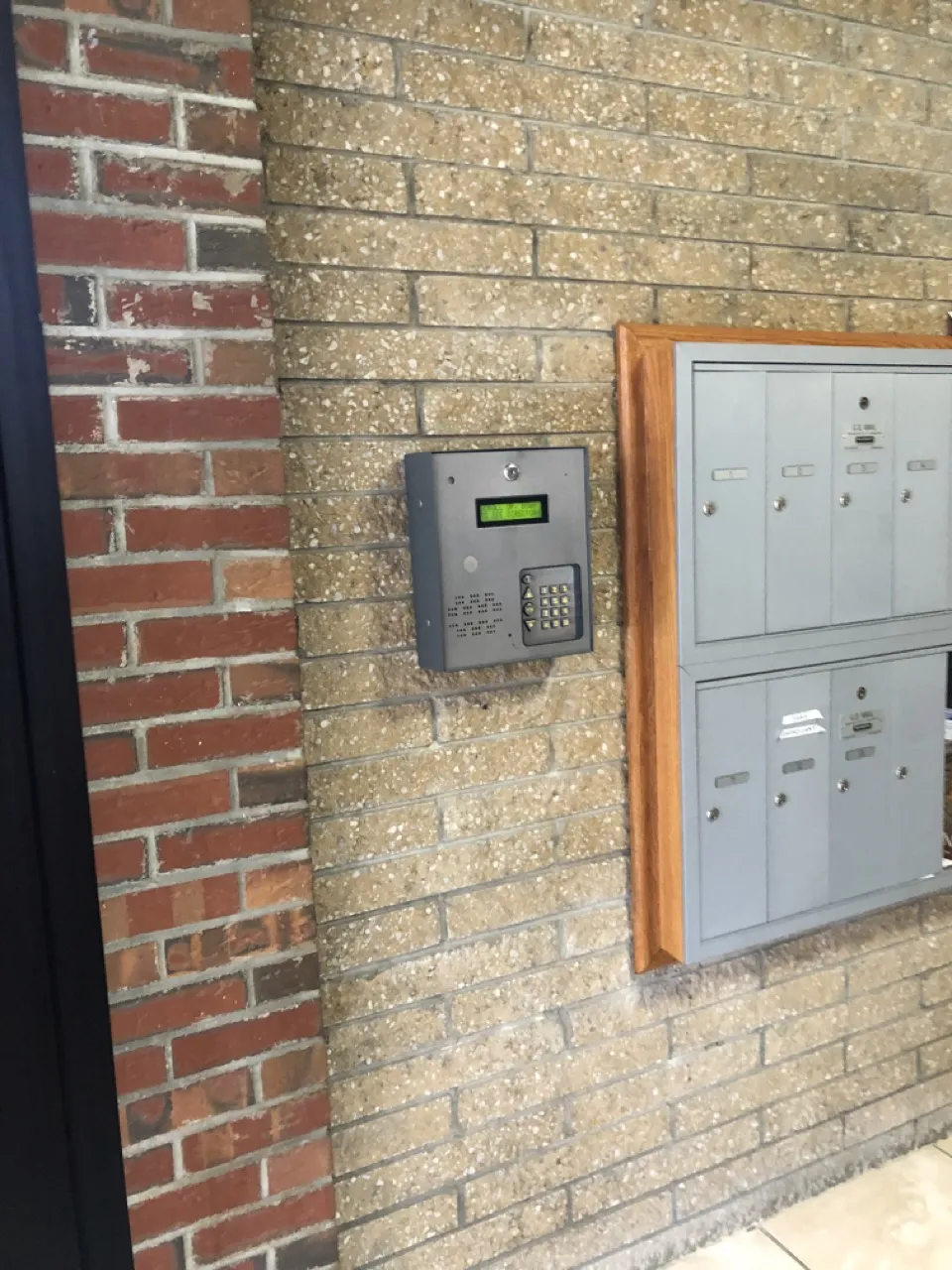 15 Walbridge St, Brighton