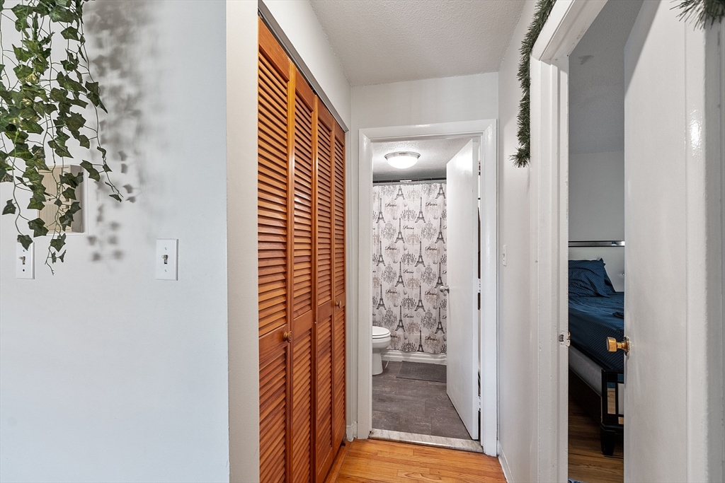 239 Kelton St, Brighton