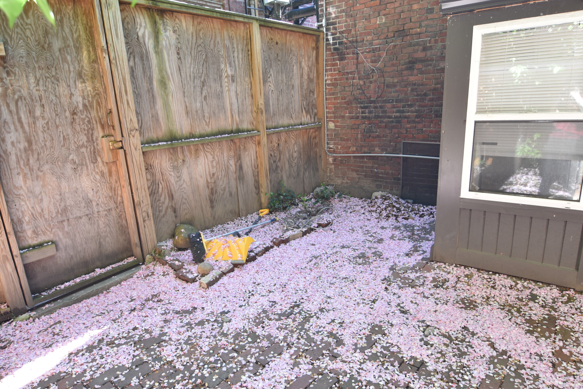 60 Anderson St, Beacon Hill