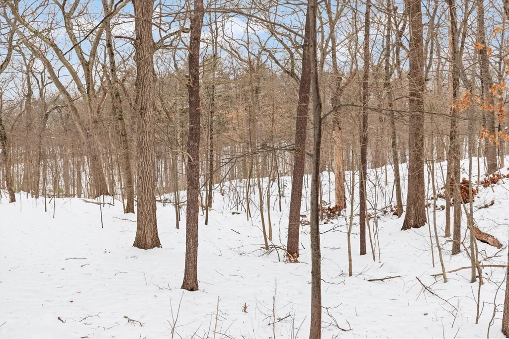 36 Joyce Rd, Medford