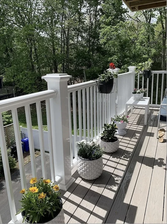 34 Colgate Rd, Roslindale