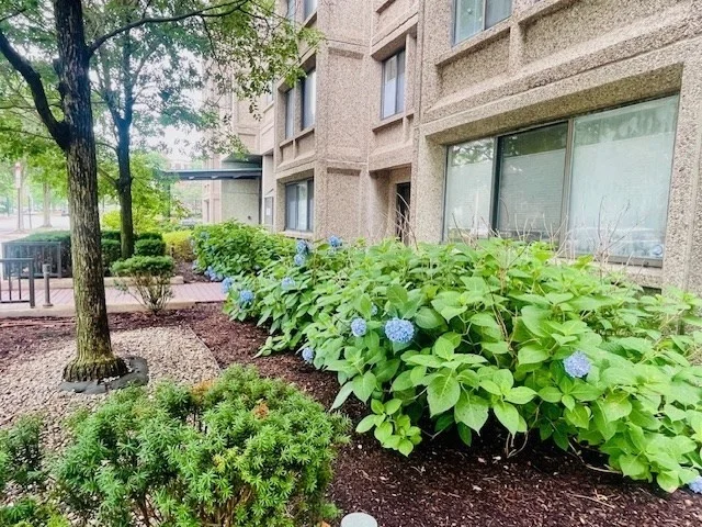 1731 Beacon St, Brookline