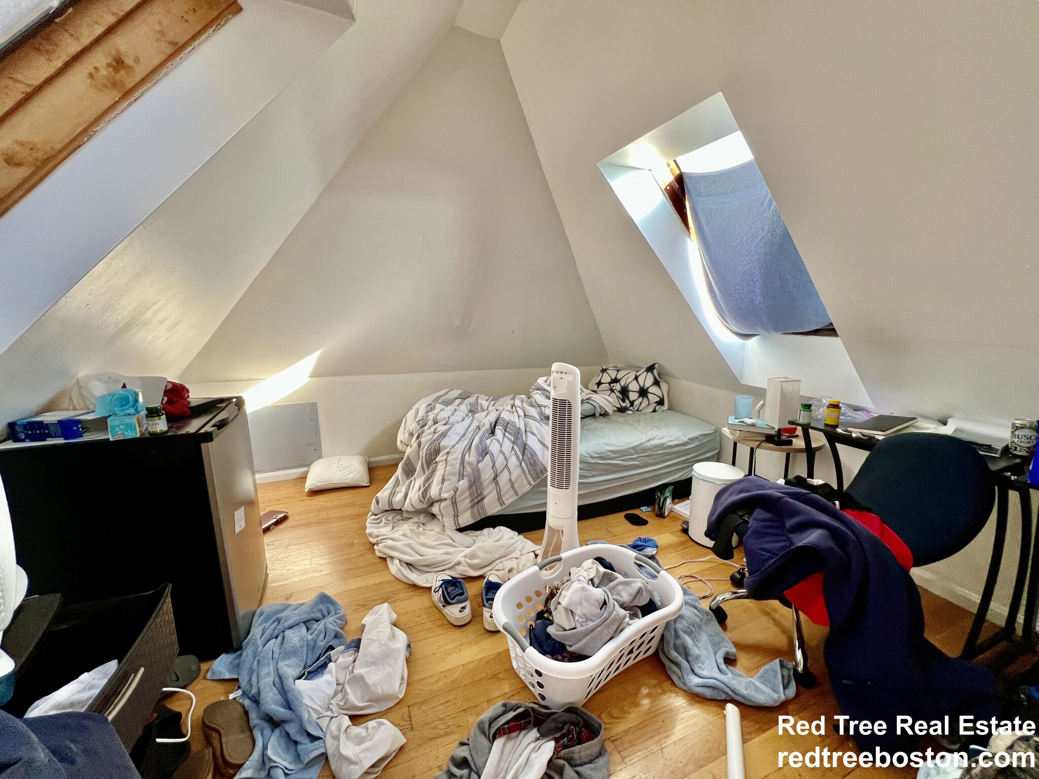 27 Orkney Rd, Brighton