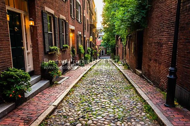 61 Anderson St, Beacon Hill